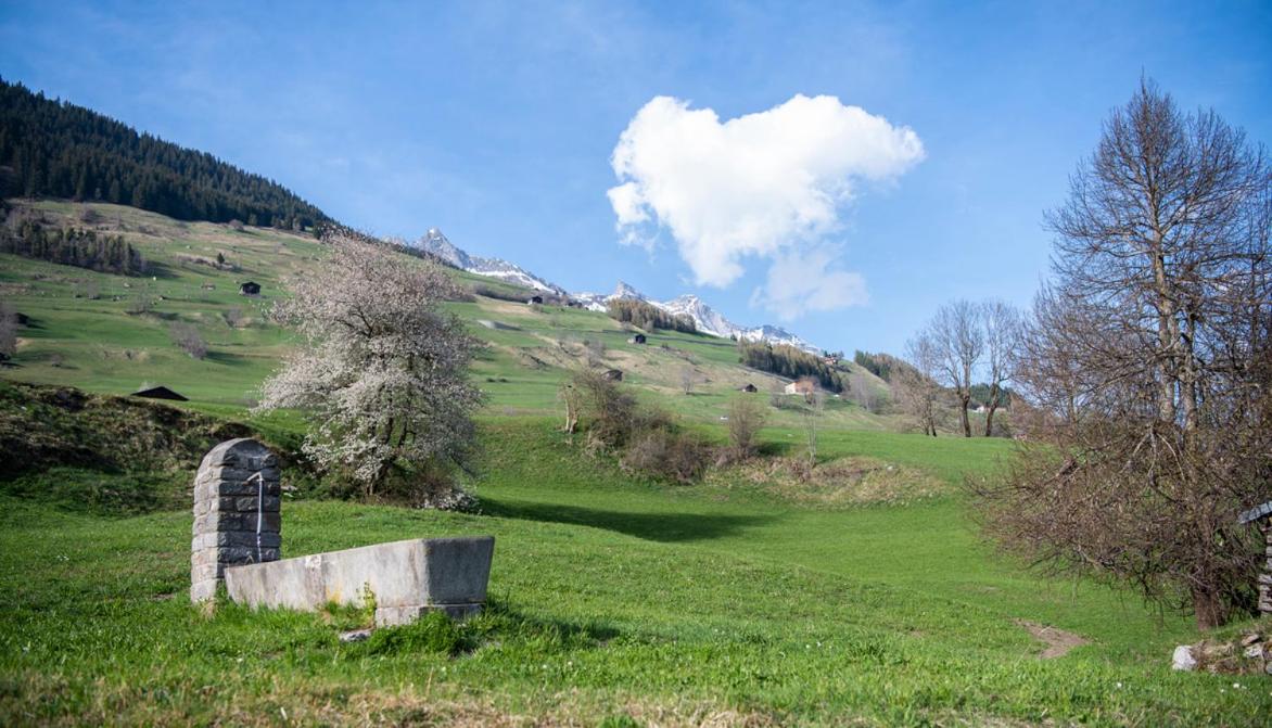 Casa Pasch - Boutique Bed and Breakfast in Cumpadials