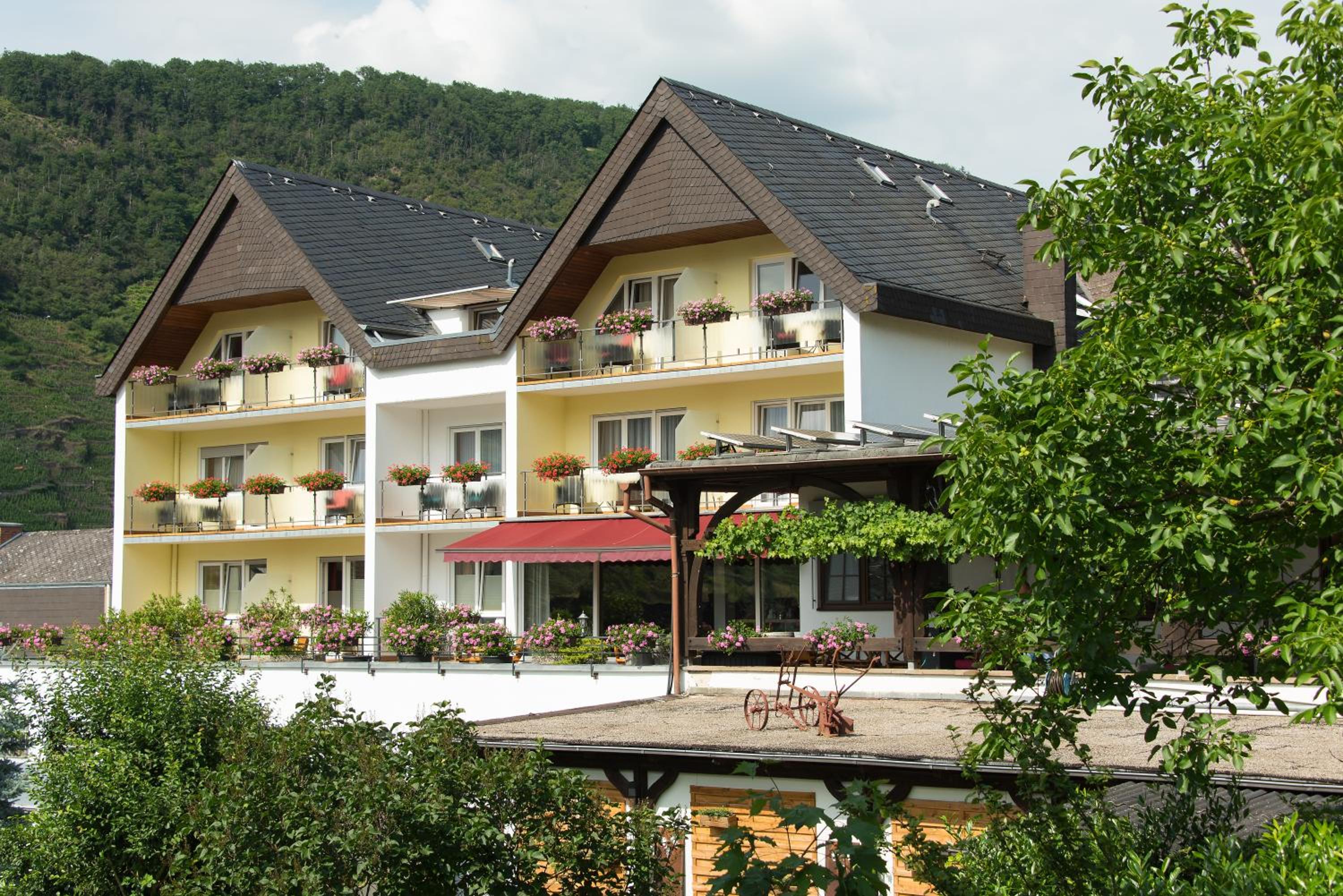 Hotel Weinhotel Sonnenschein - Image 1