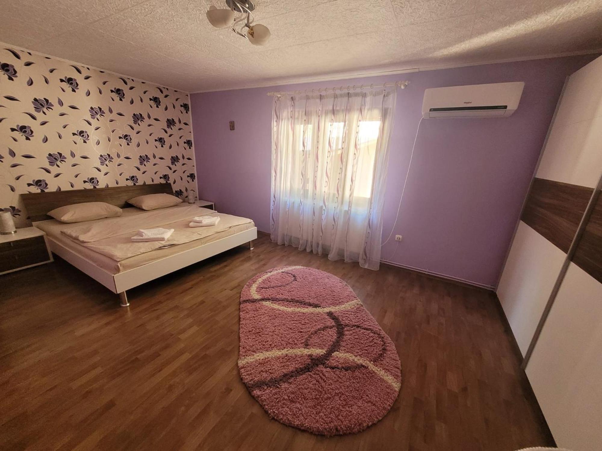 Casa Bașu view 5