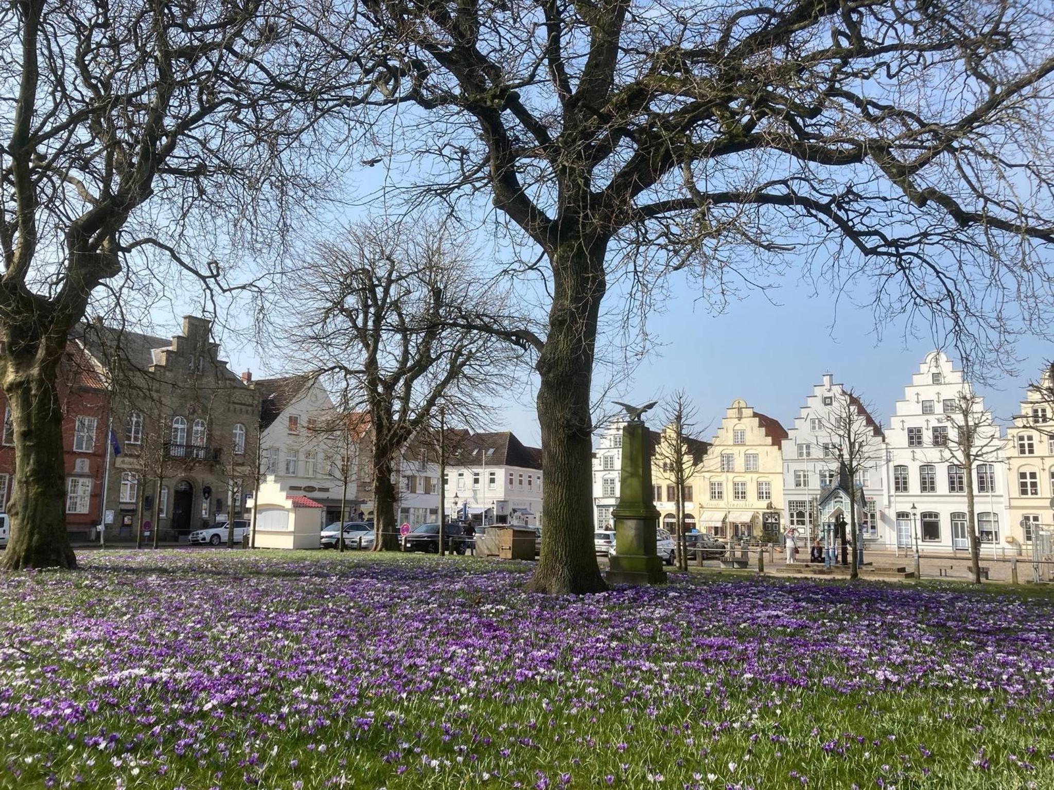 Ferienhaus - Sonnenhaus