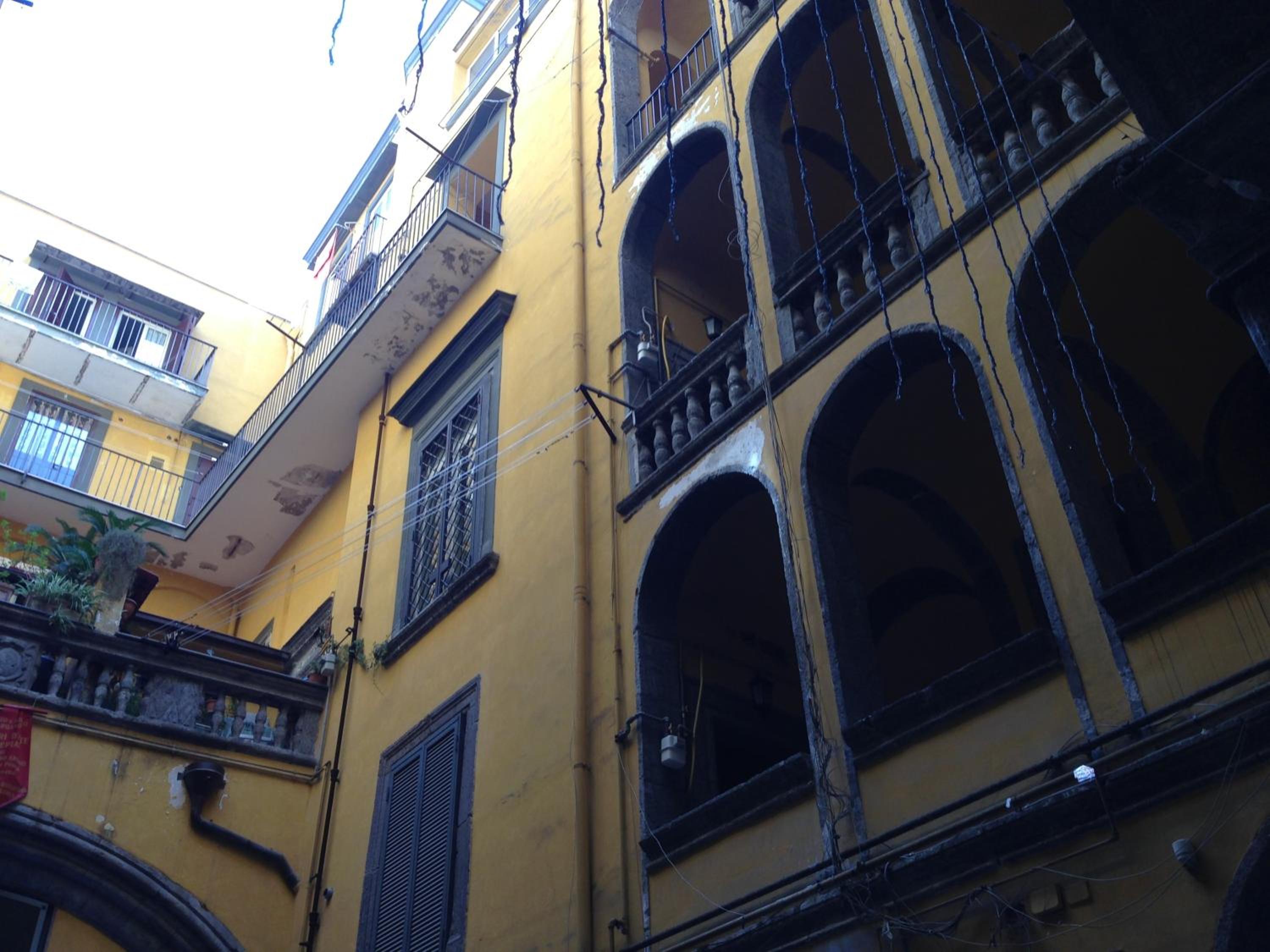 Casa Dodo