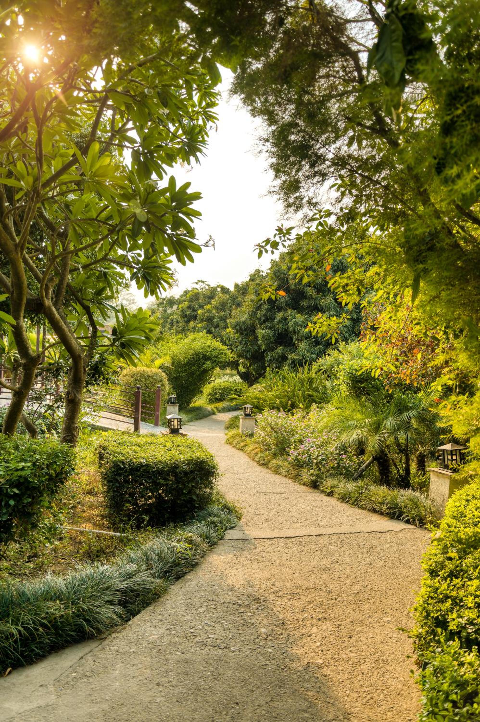 Alaya Resorts & Spa