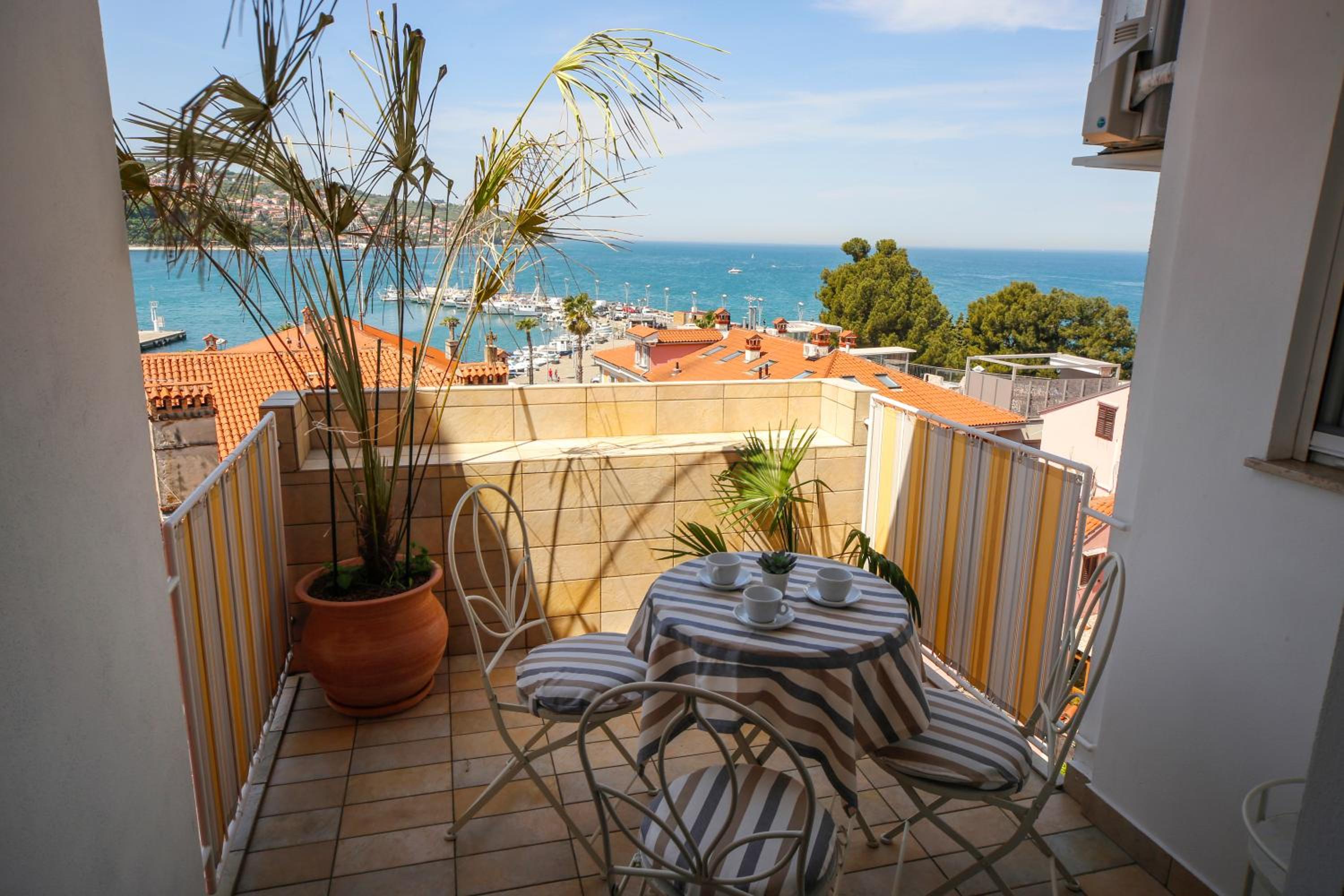 Apartma Srčanka view 4