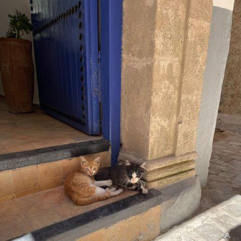 Riad Dar Awil