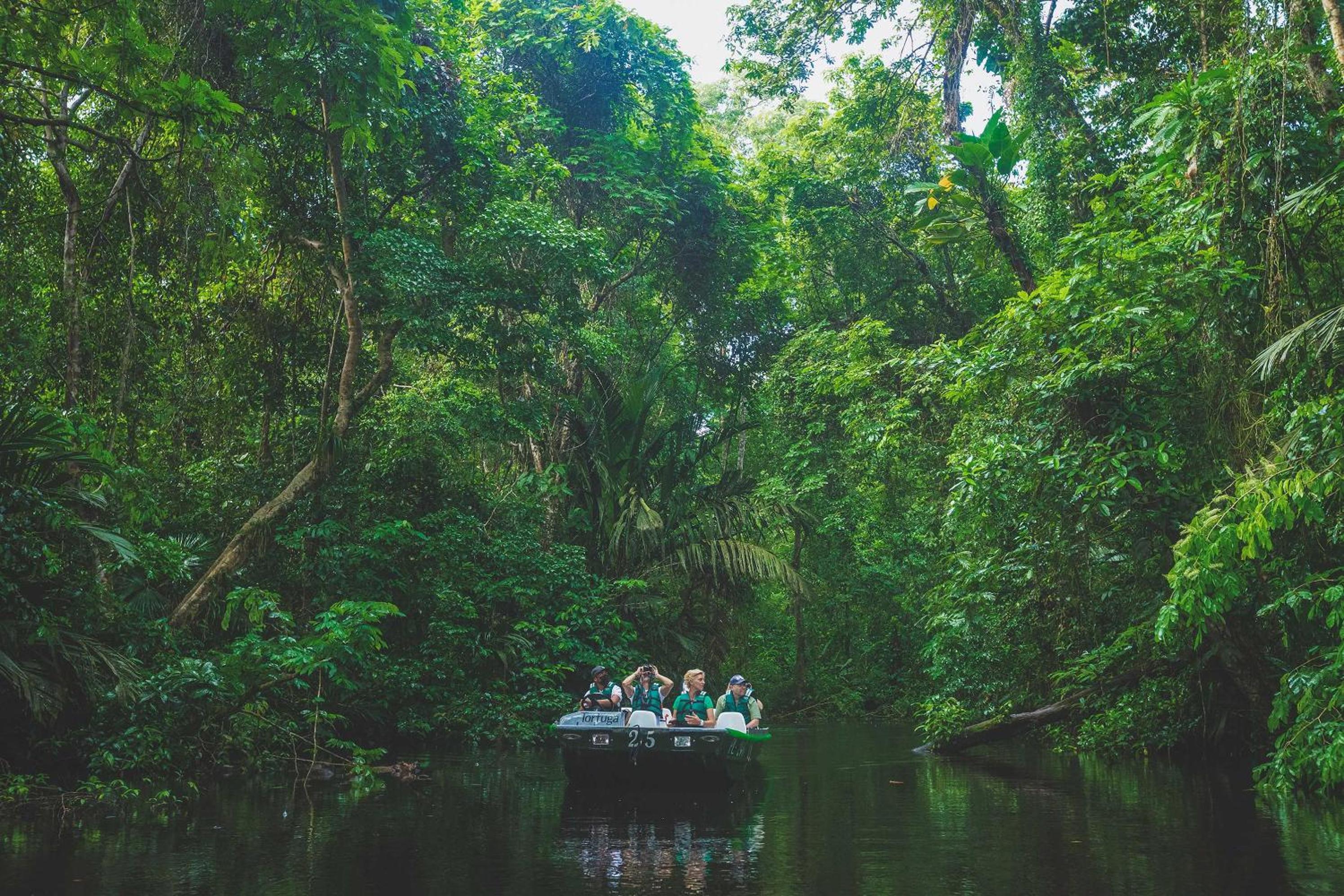 Tortuga Lodge