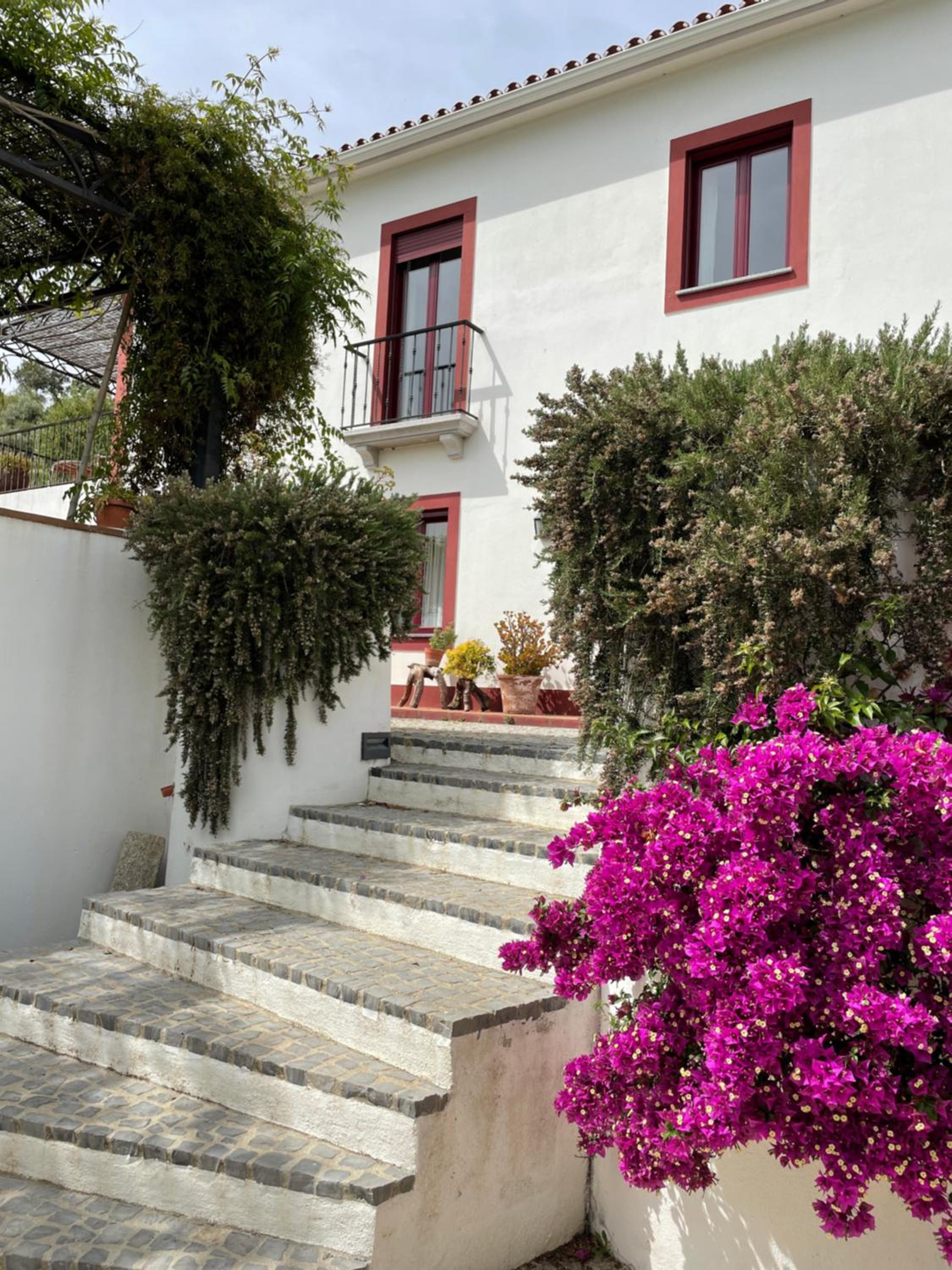 Quinta da Asneira view 5