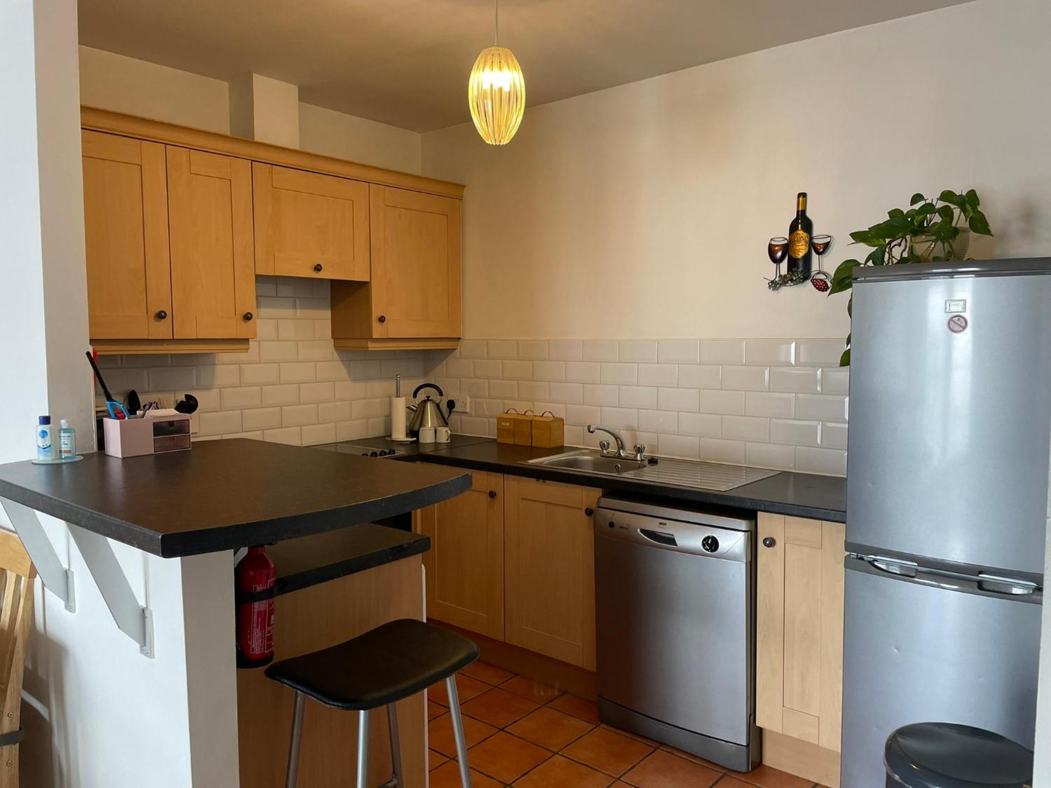 Wexford Town Centre Apartment view 5