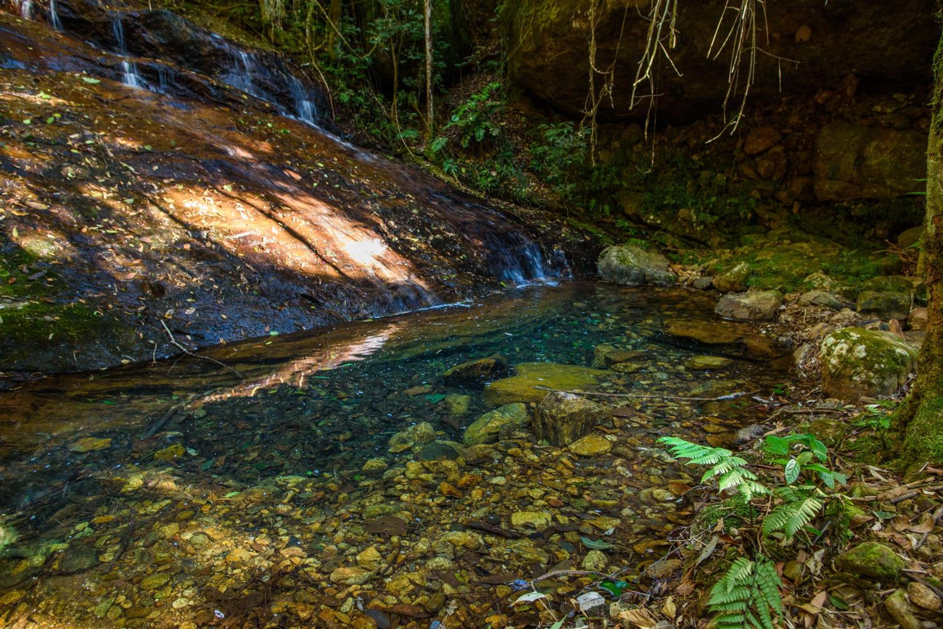 Recanto Águas Nascentes - Casa na serra com piscina e cachoeira no quintal!!
