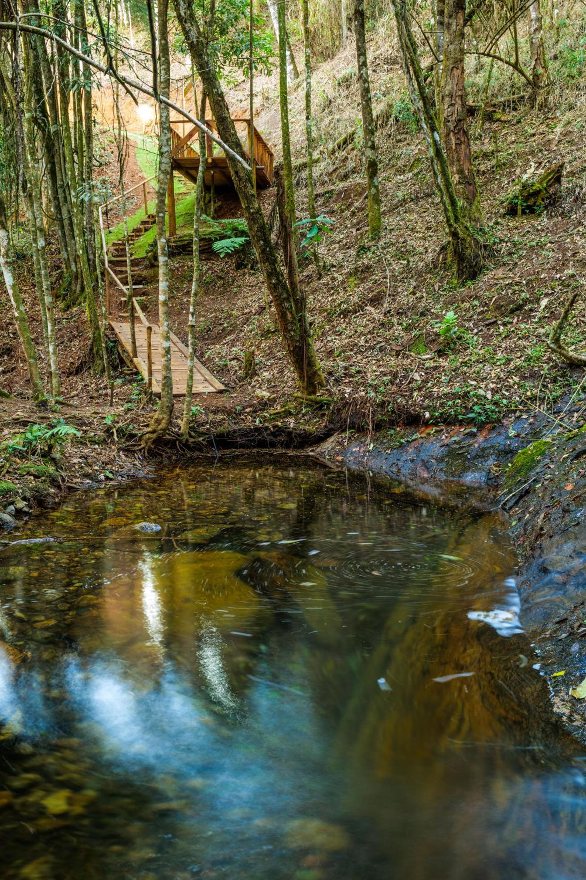 Recanto Águas Nascentes - Casa na serra com piscina e cachoeira no quintal!!