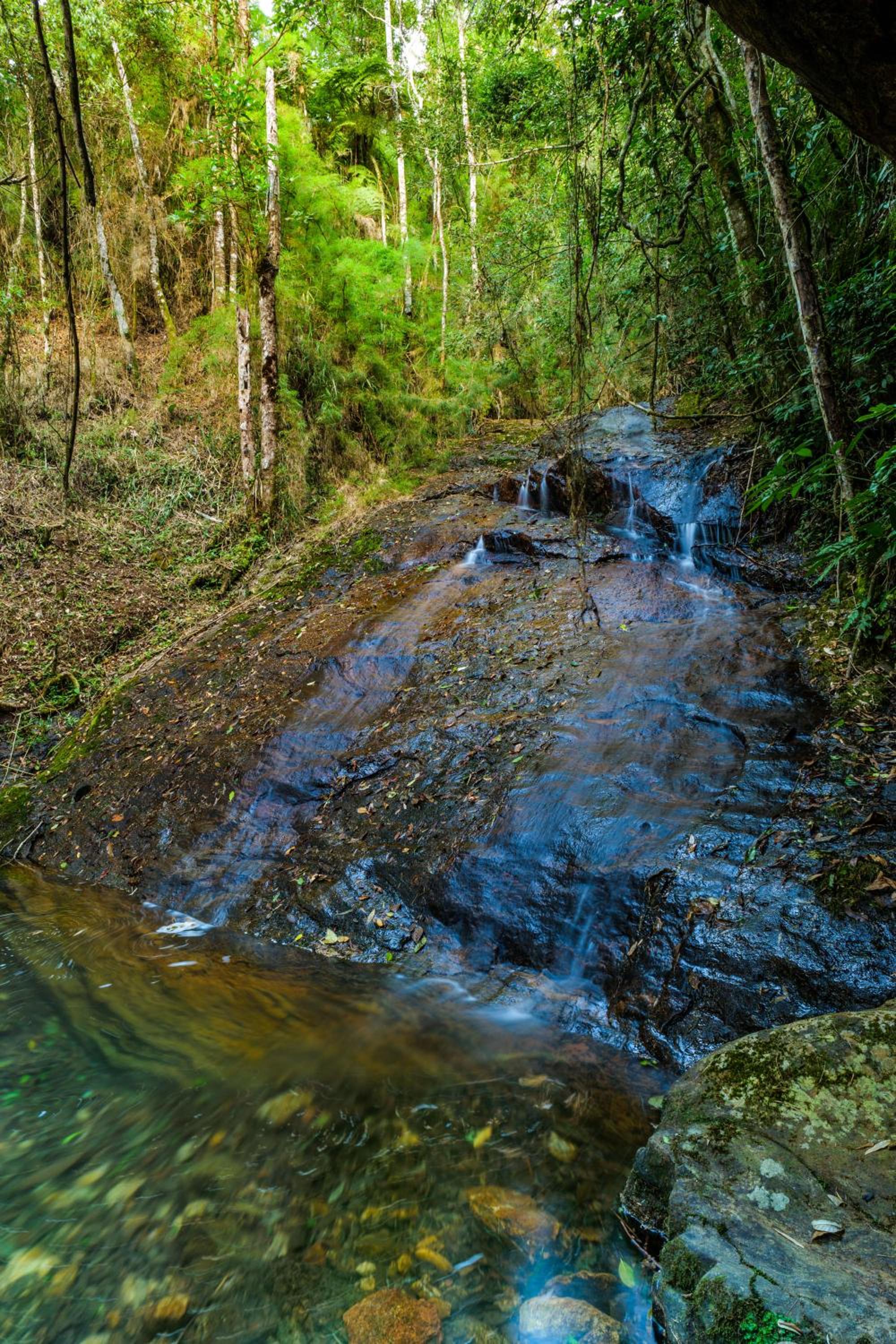 Recanto Águas Nascentes - Casa na serra com piscina e cachoeira no quintal!!