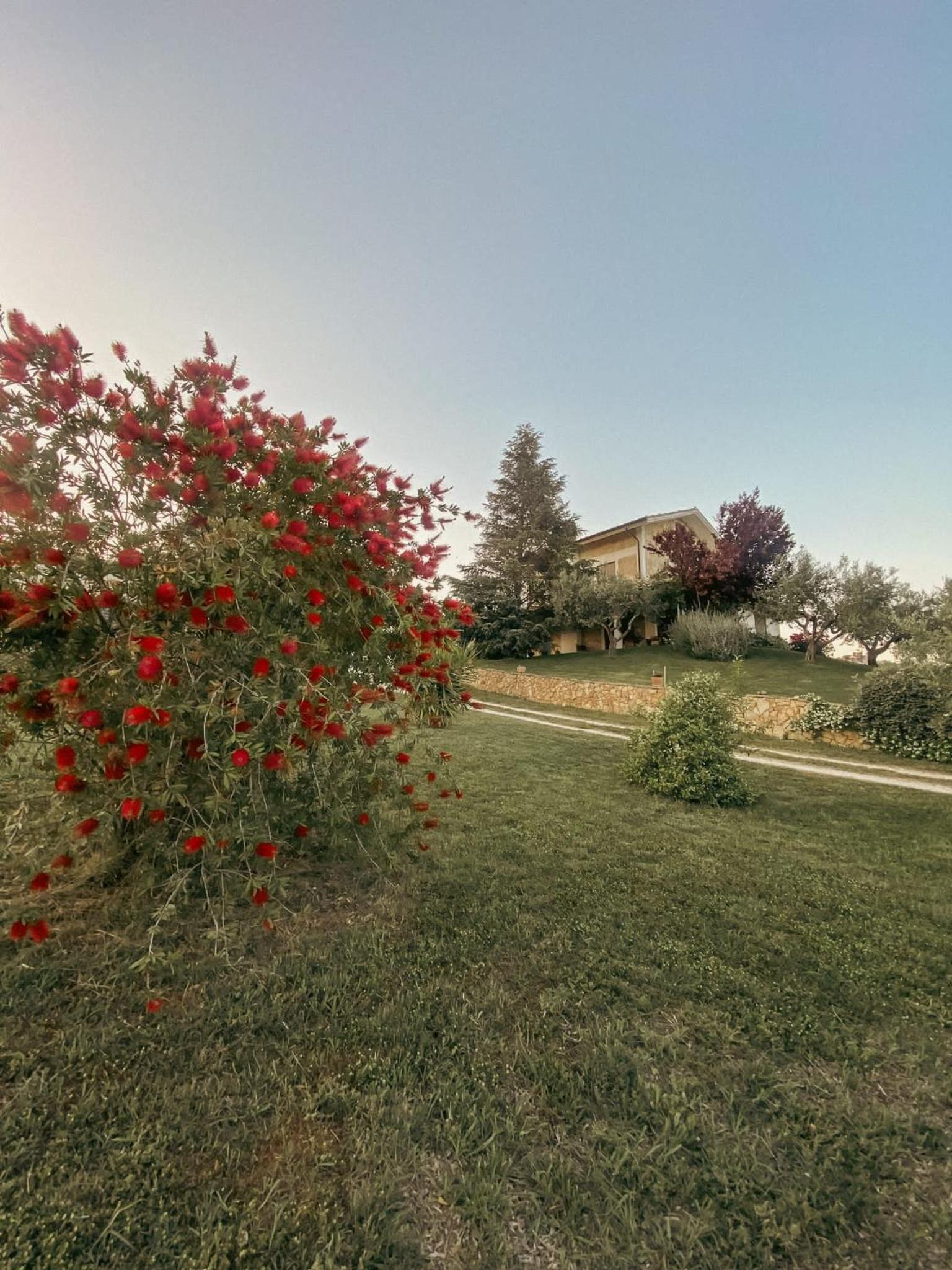 Bed & Breakfast Le Coccinelle view 3