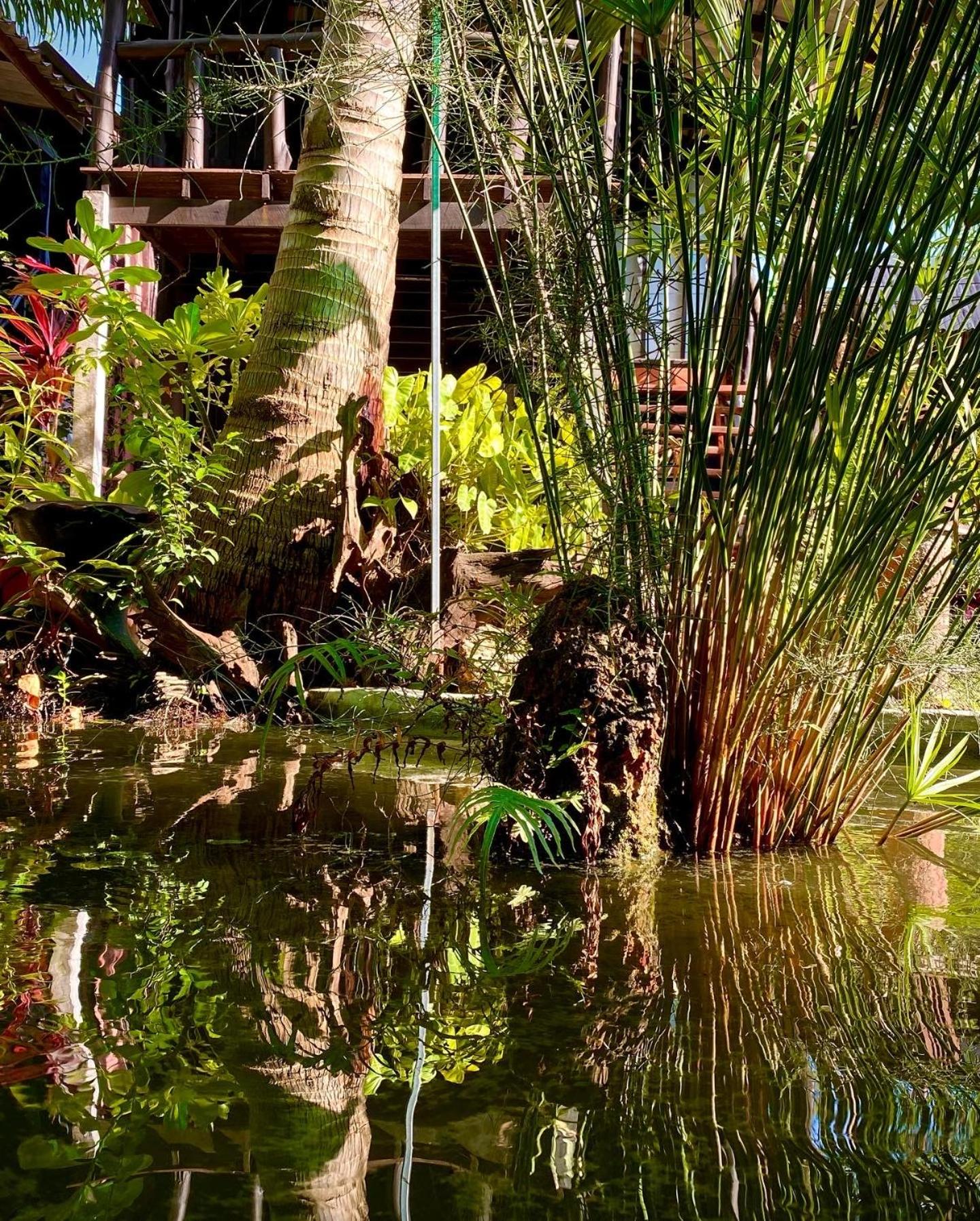 Leaf House Bungalows