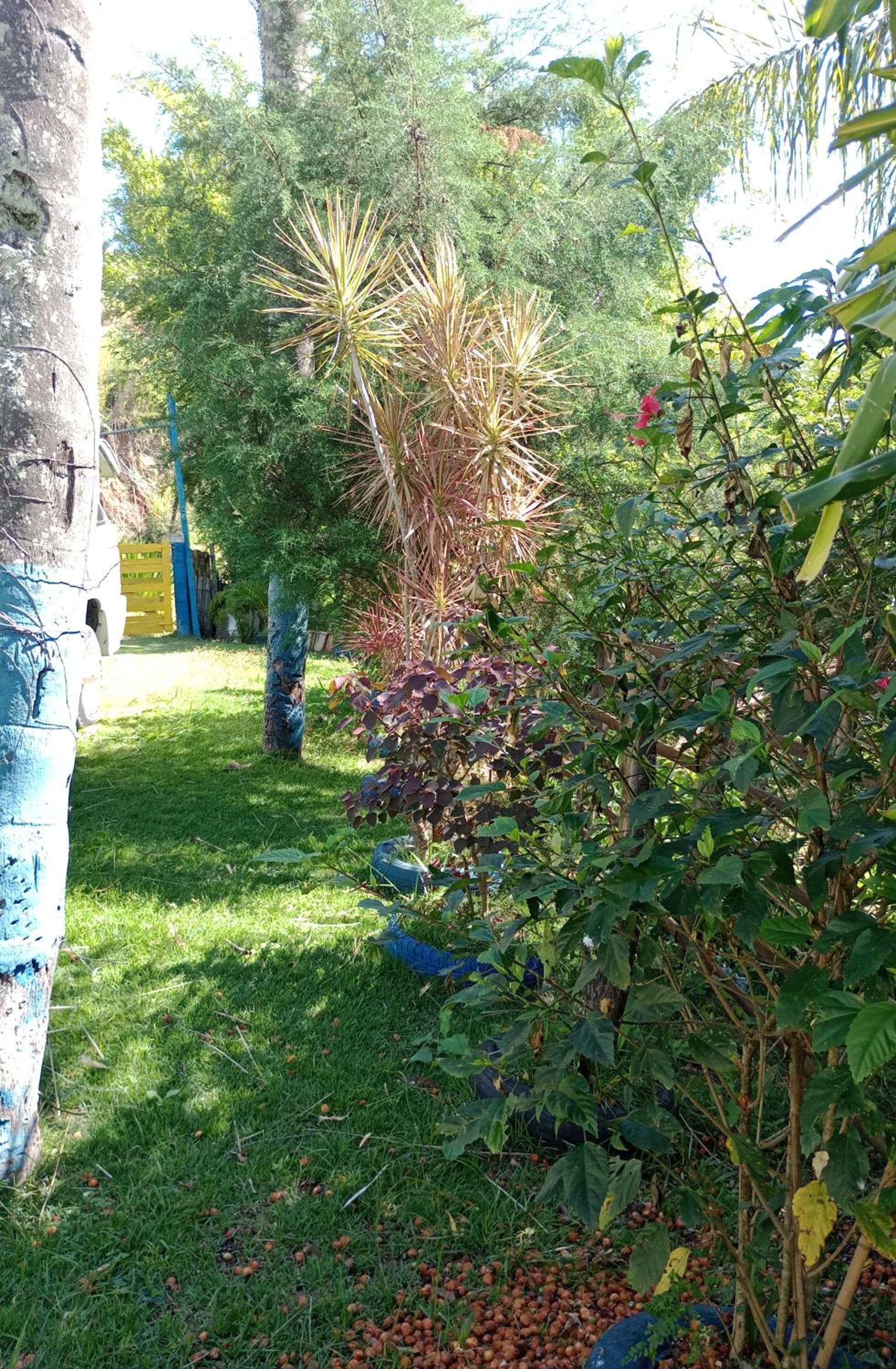 CHÁCARA TERRA dos SONHOS