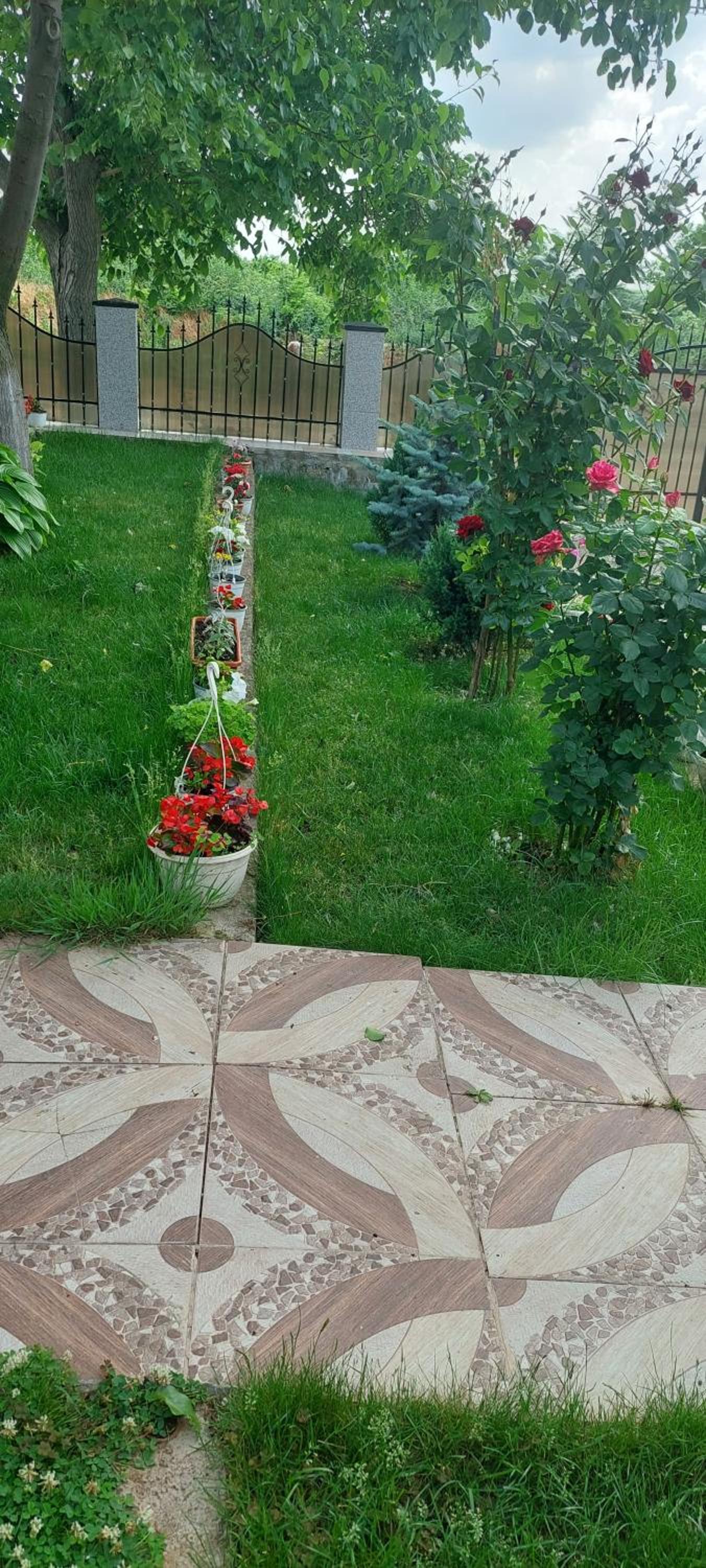 Photo 39