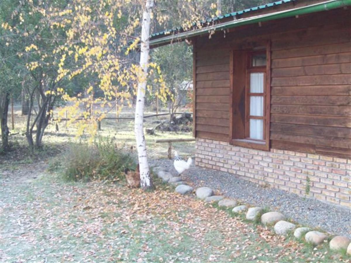 Albergue Gaia