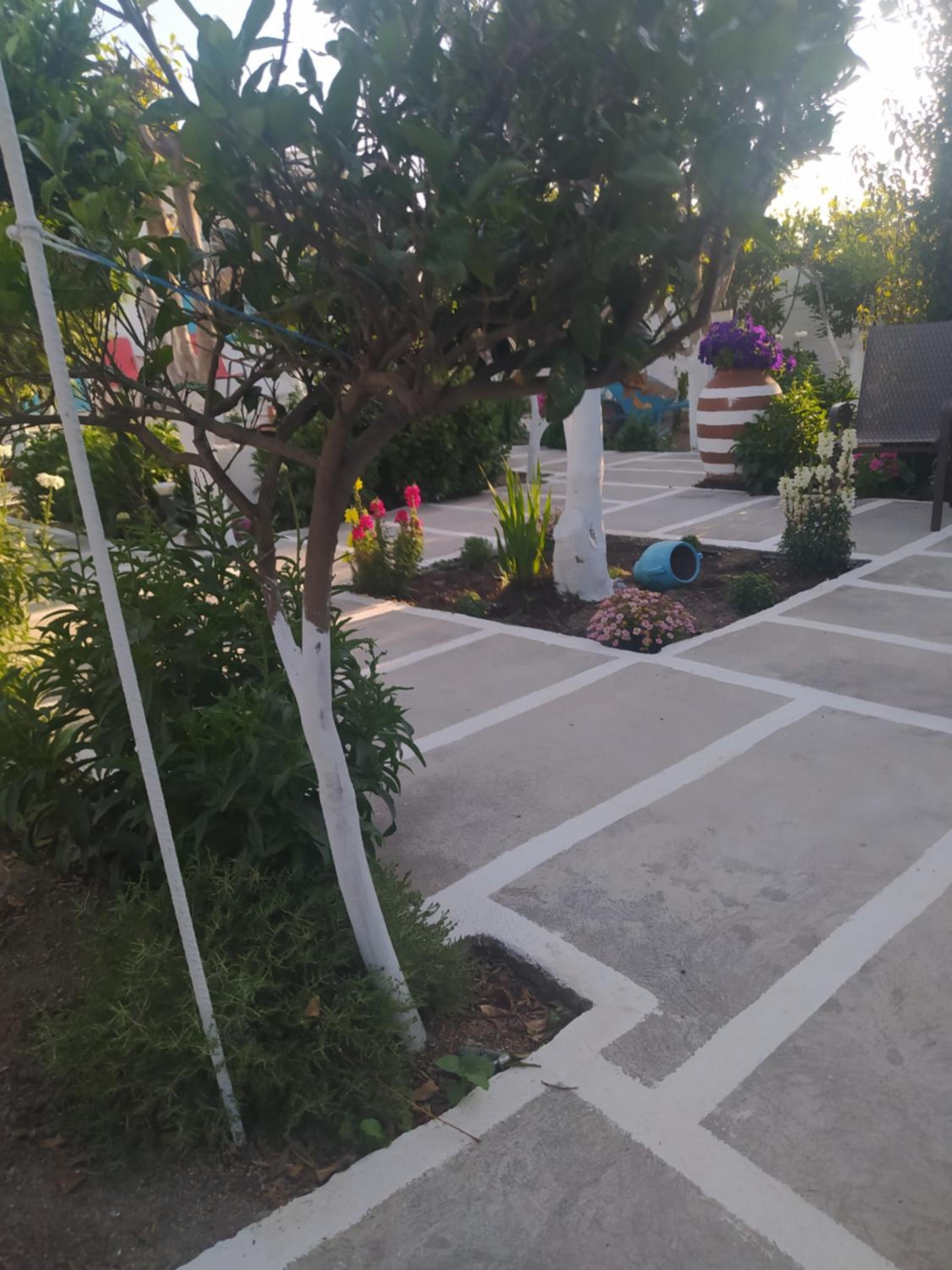 Photo 26