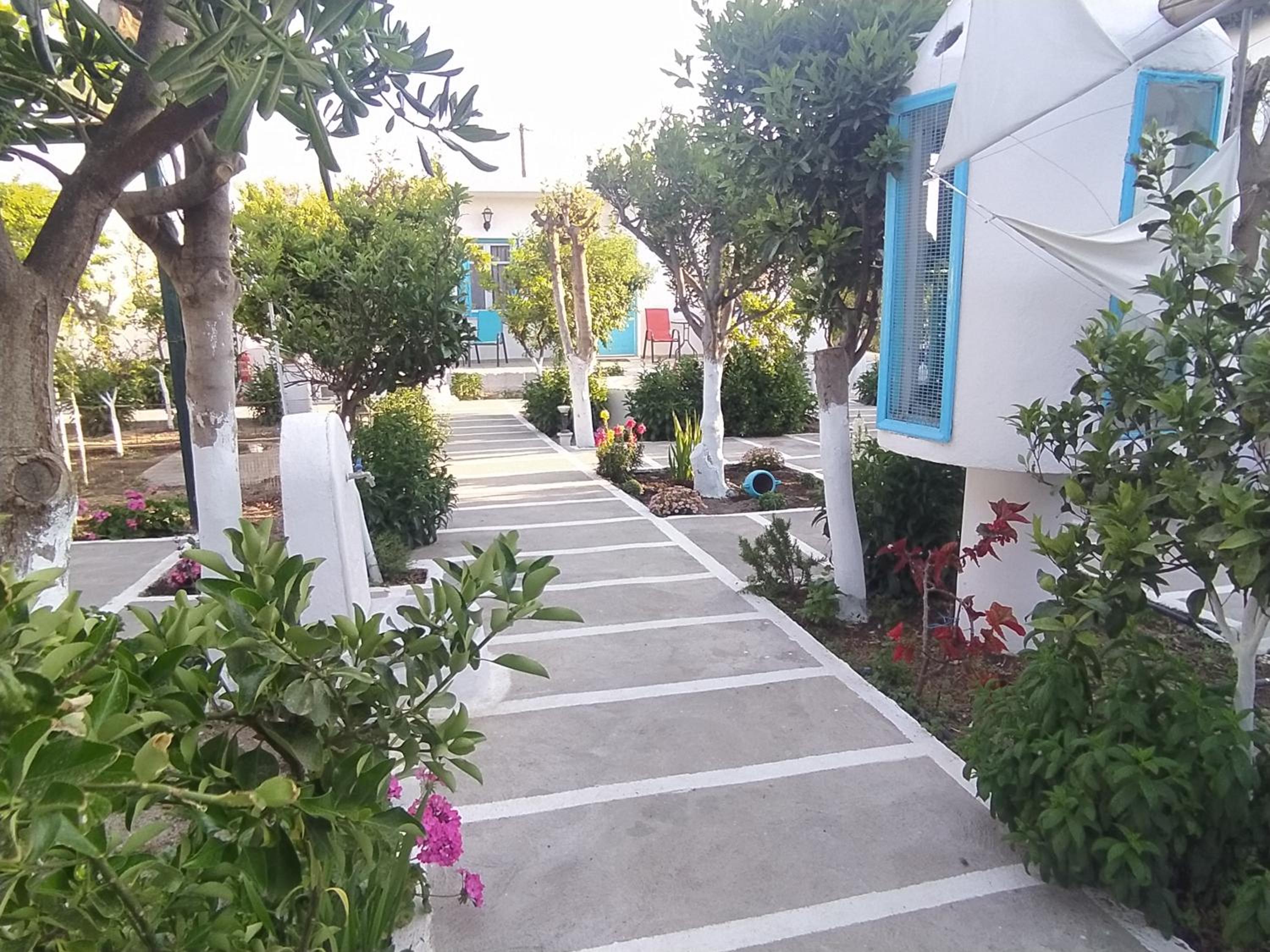 Photo 15