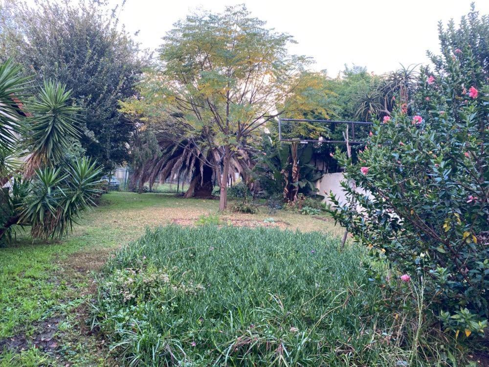 Terrace House Rivonia