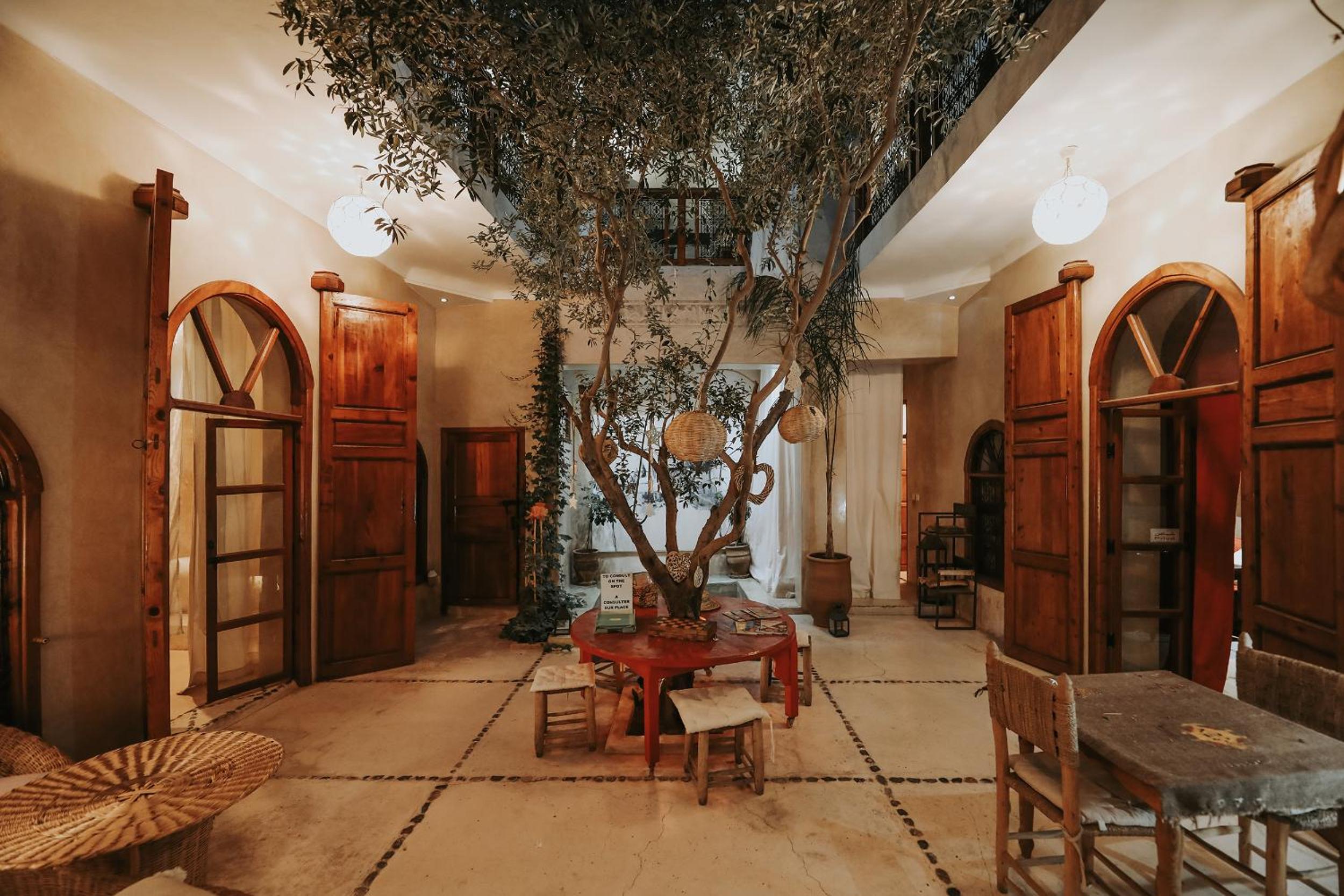recepcion & lobby