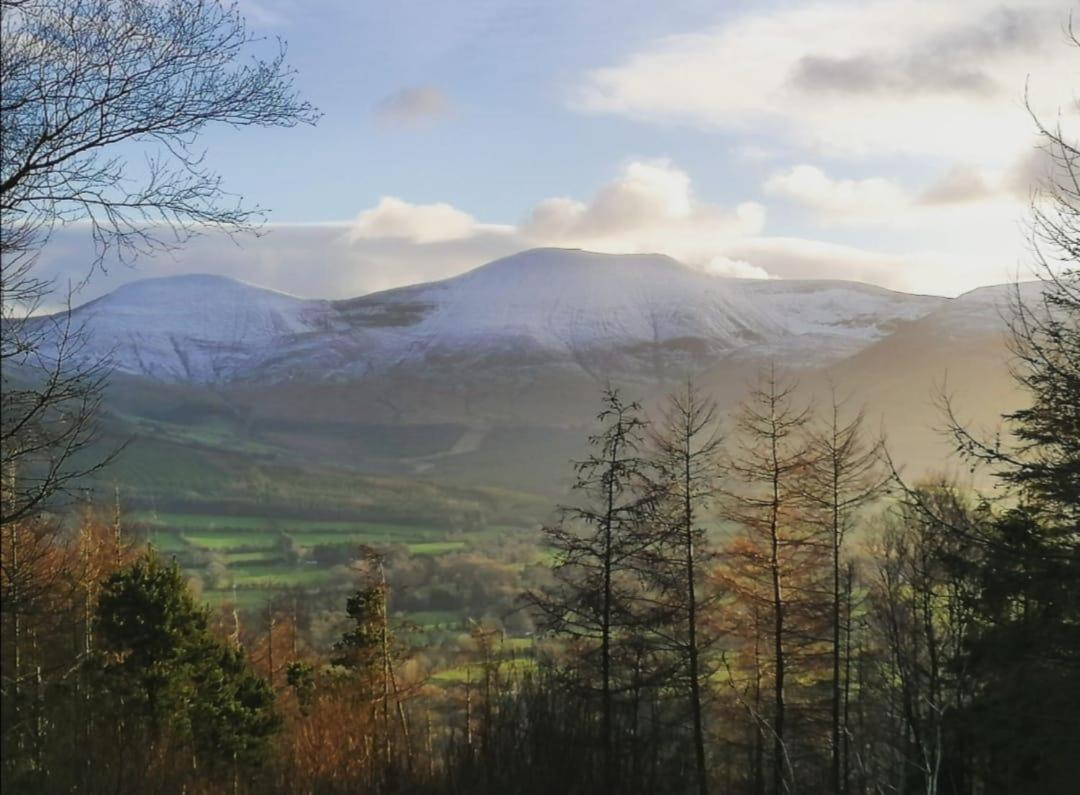 Aherlow Valley Hideaway view 2