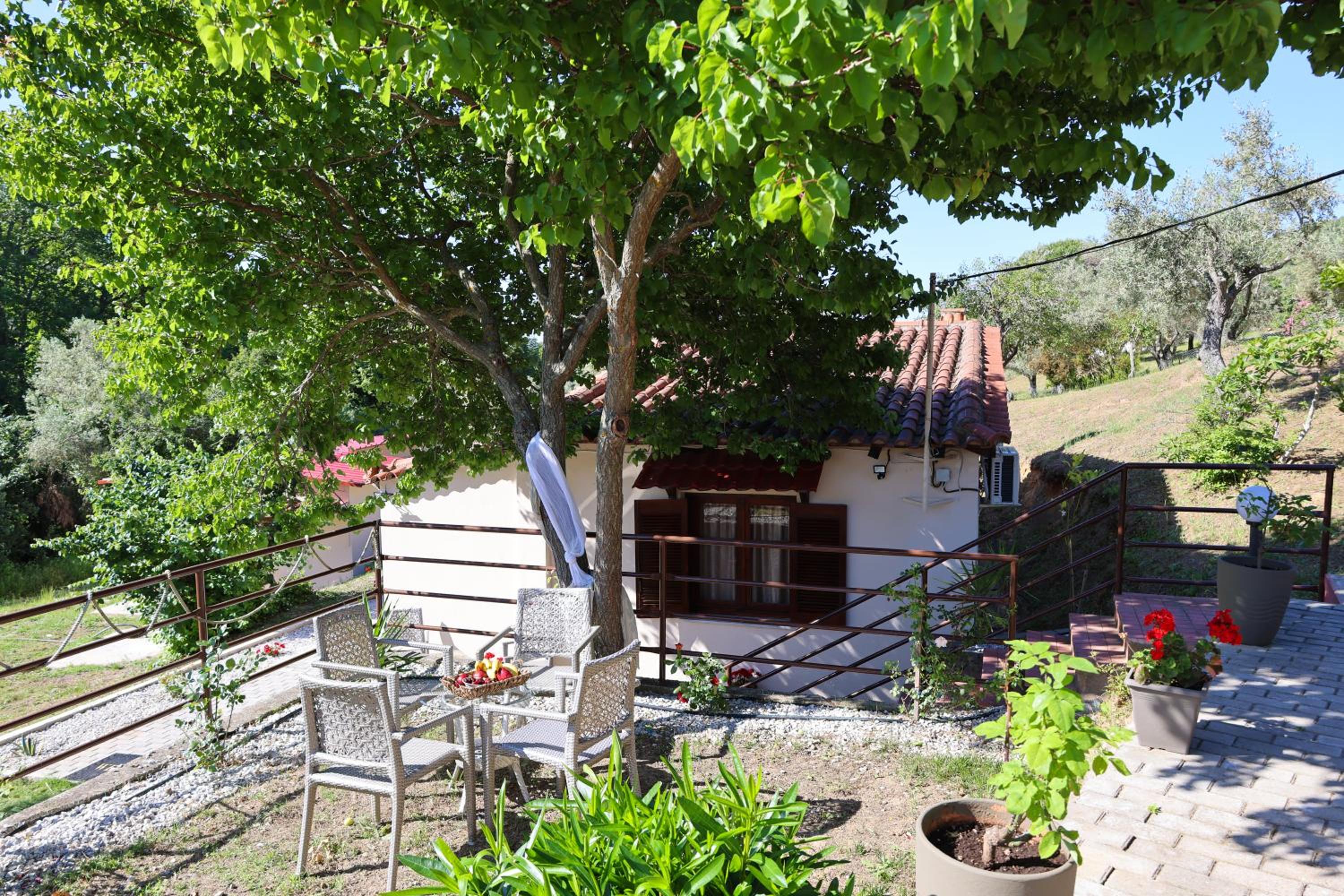Photo 41