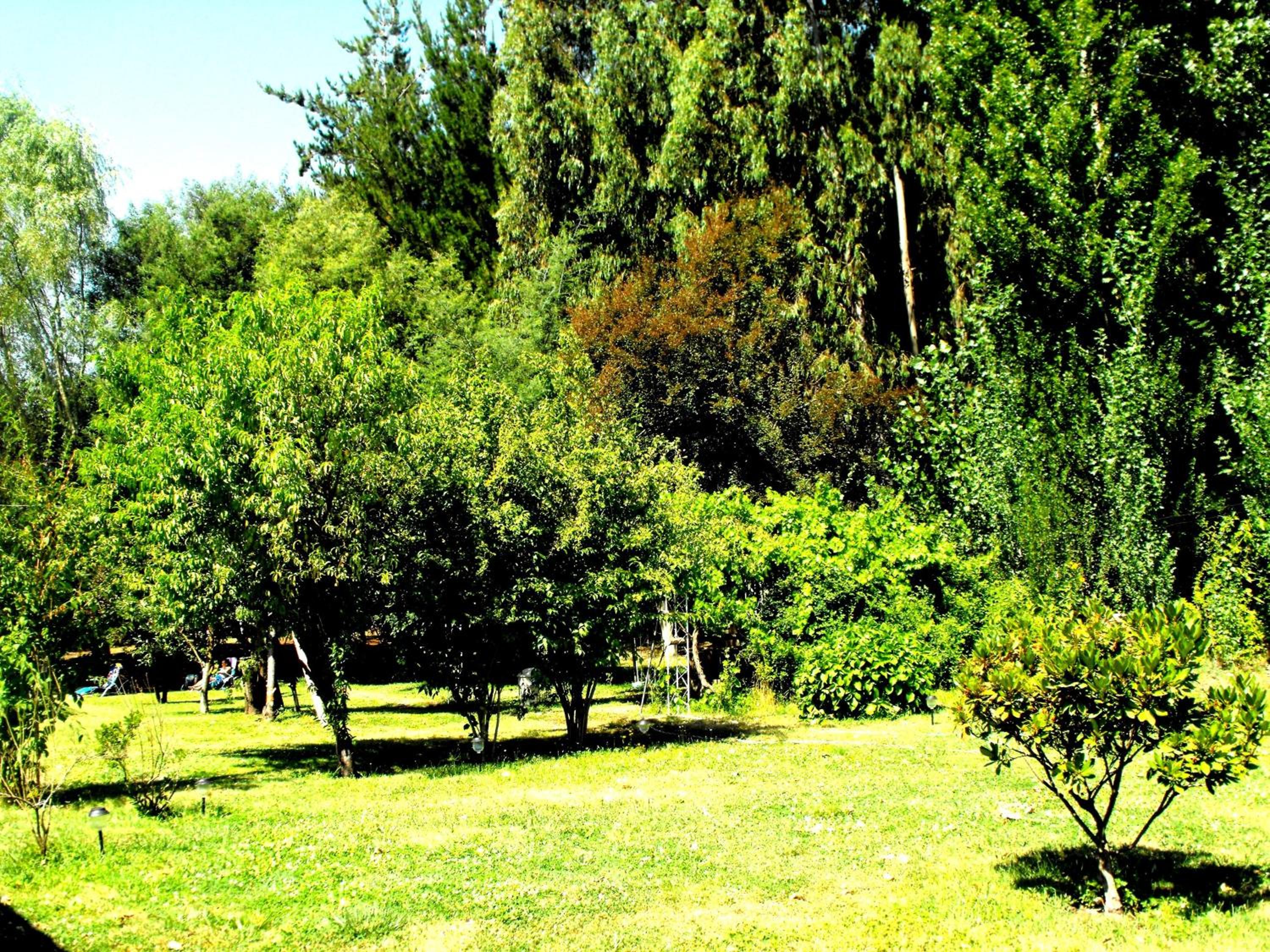 Cabañas Aguas Claras
