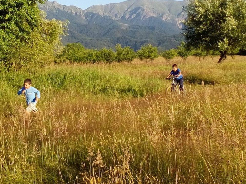 Къща за гости 