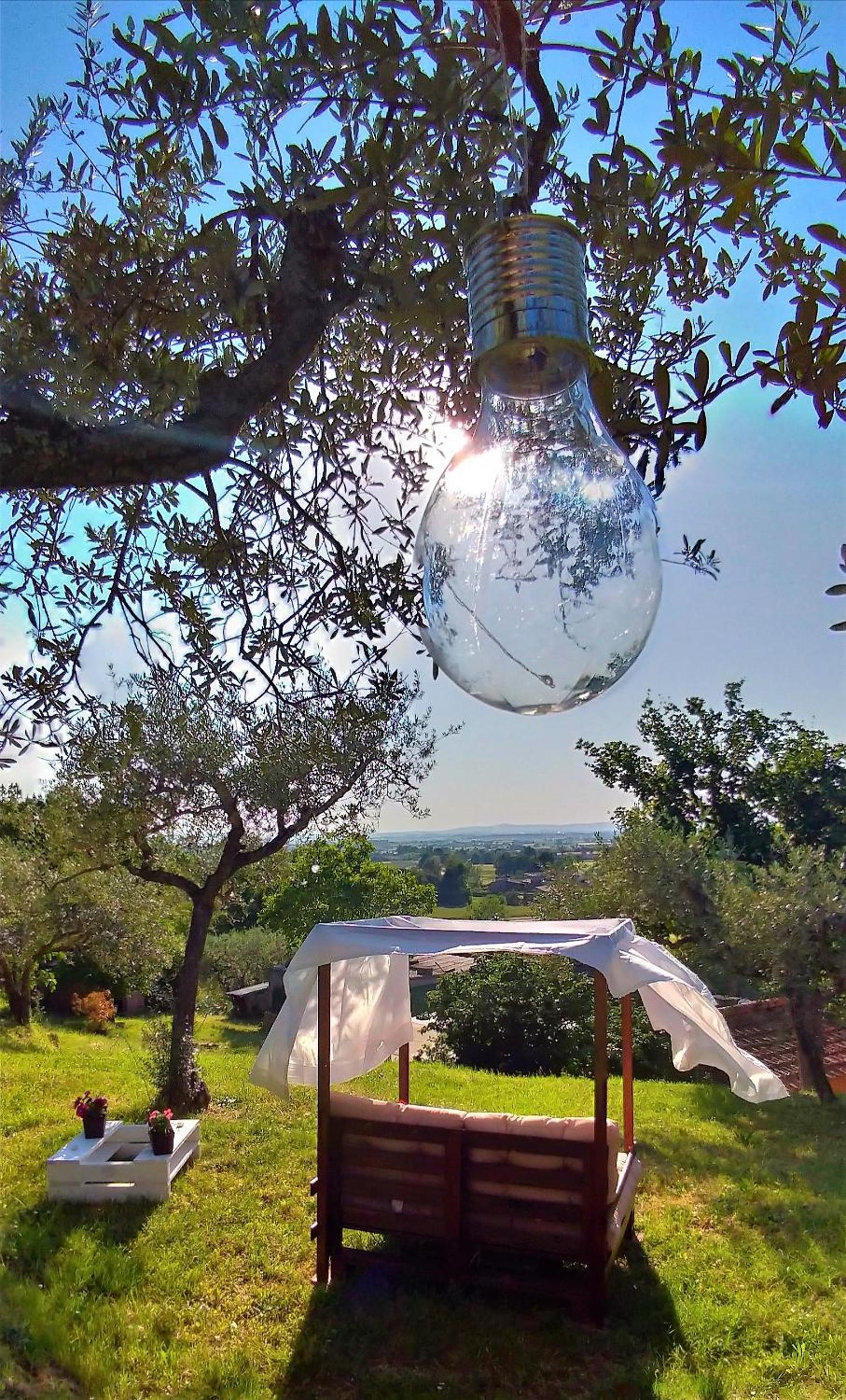 Cortona Vacations - La Casa Tra Gli Ulivi - Property Image 3