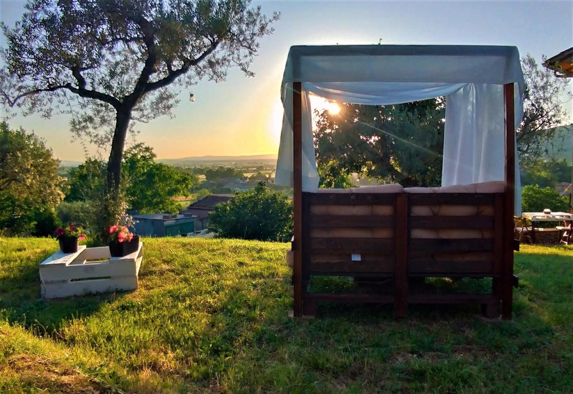 Cortona Vacations - La Casa Tra Gli Ulivi - Property Image 30
