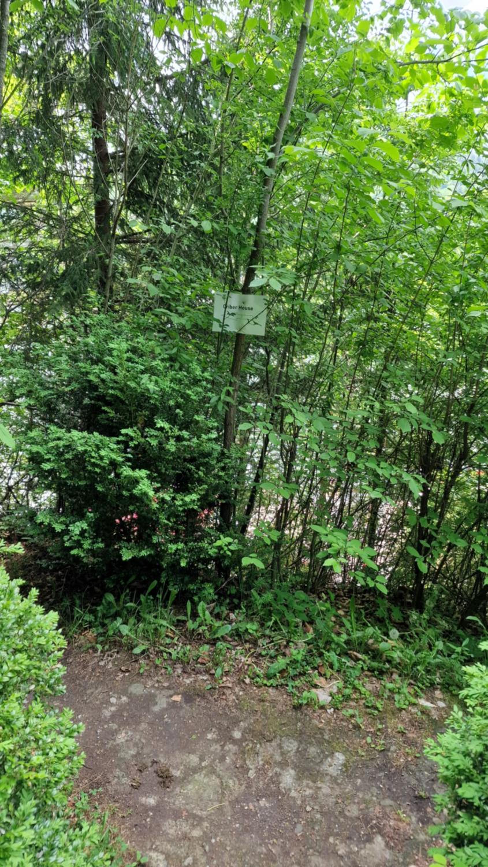 other