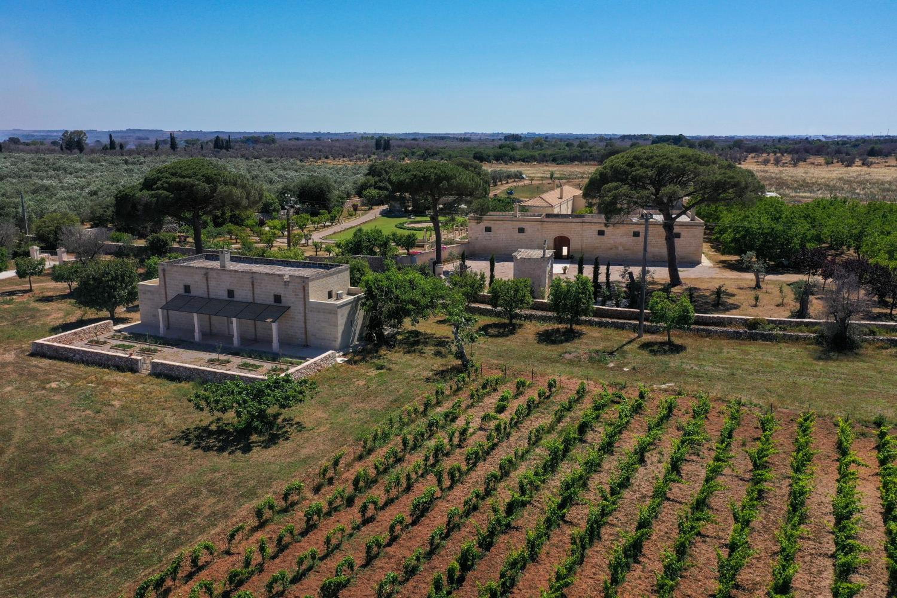 Masseria Lilei - Puglia, Salento, photo 116