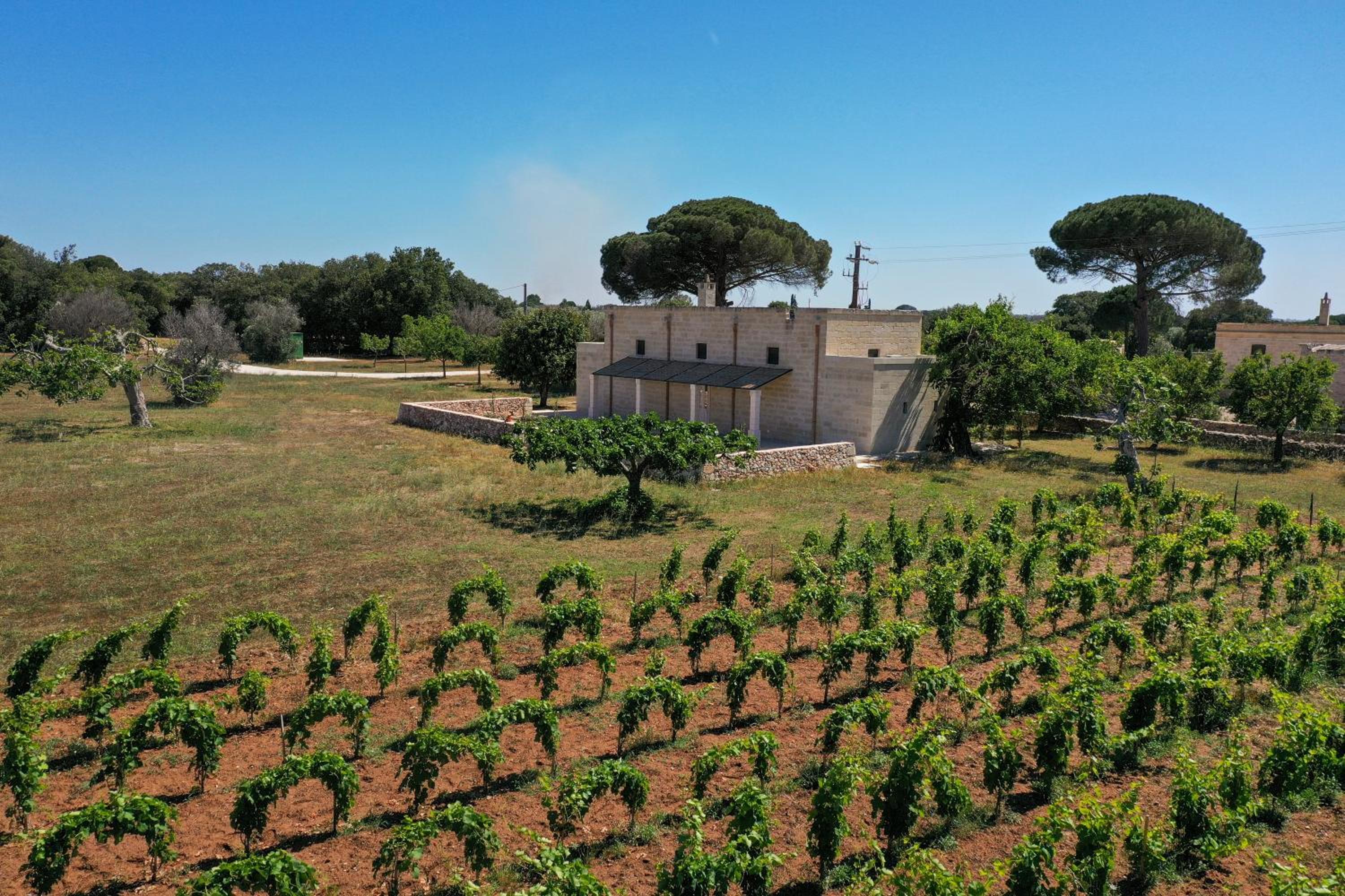 Masseria Lilei - Puglia, Salento, photo 67