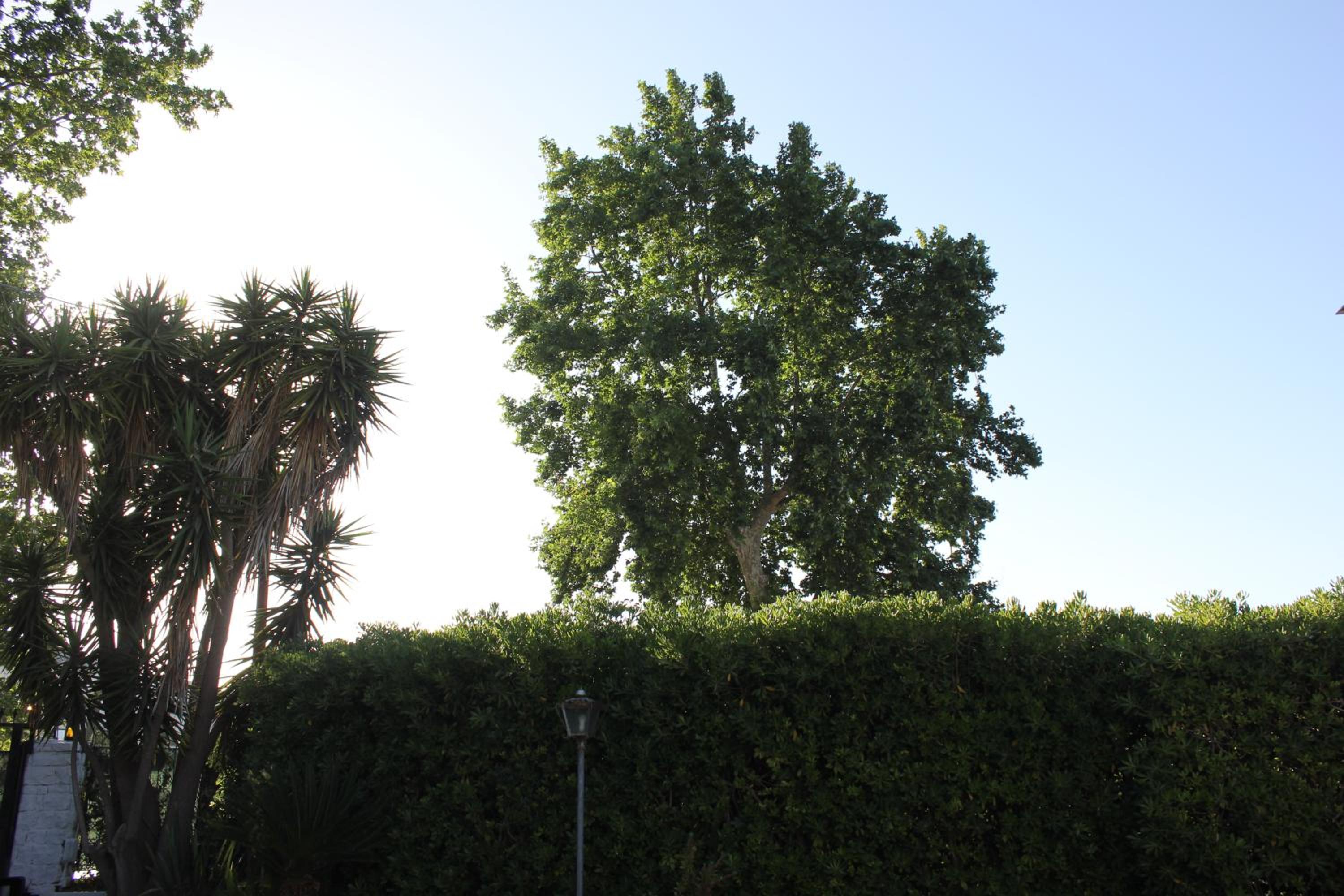 Photo 28