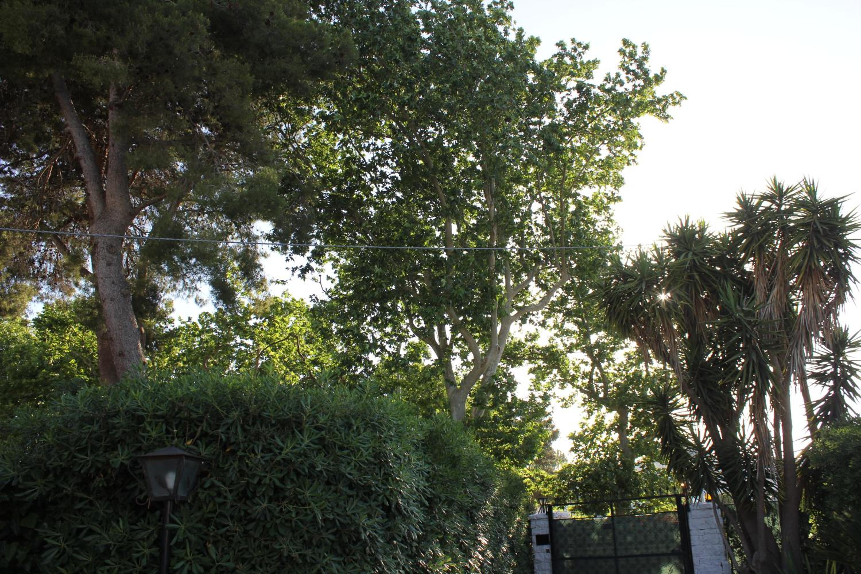 Photo 29