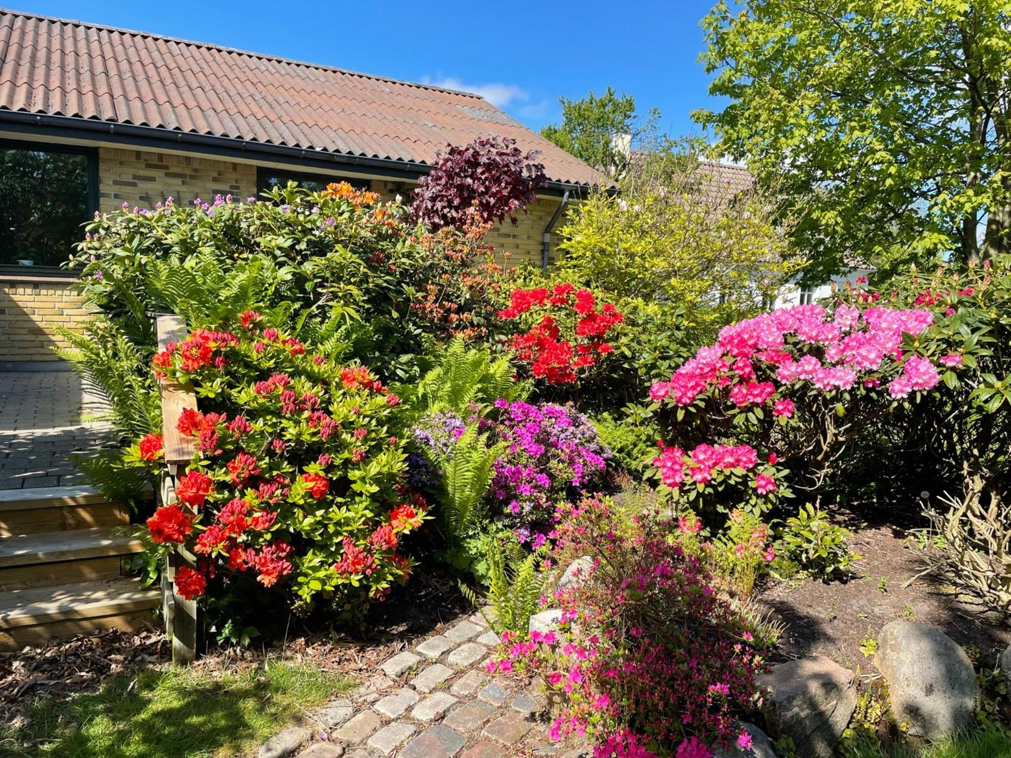 Feriehus-Gammel Byvej, Vrensted