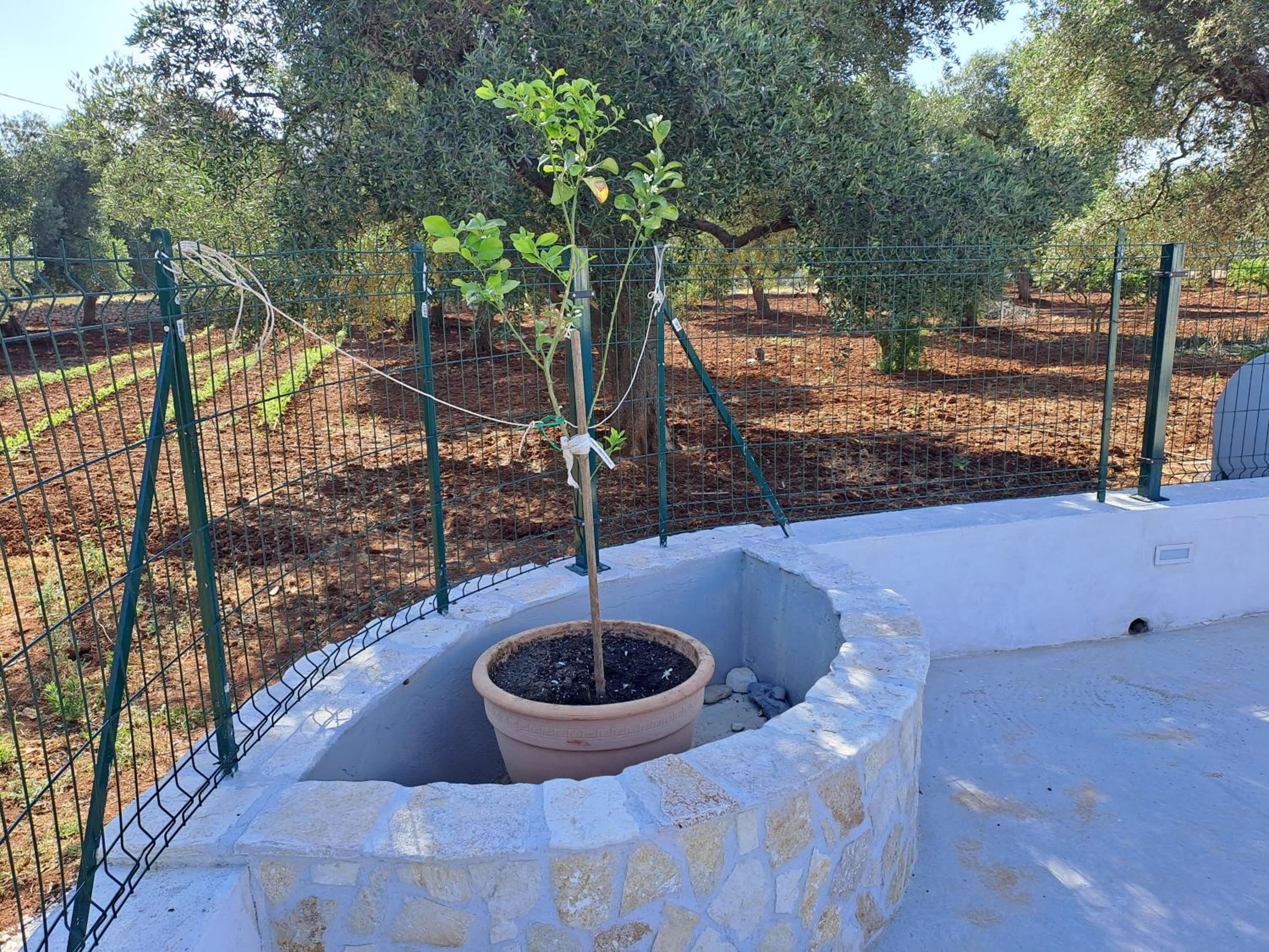 Photo 16