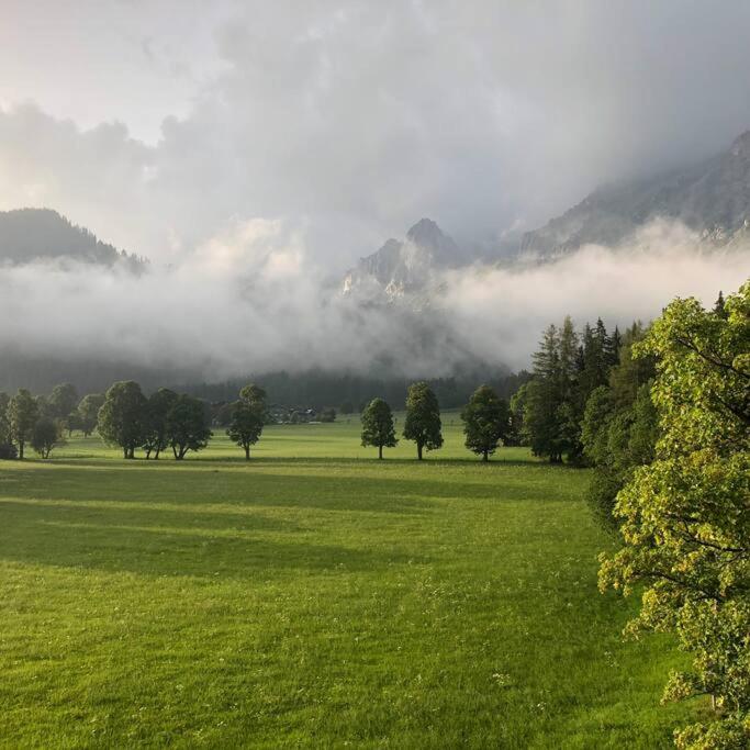 Family Appartment - Dachstein View view 4