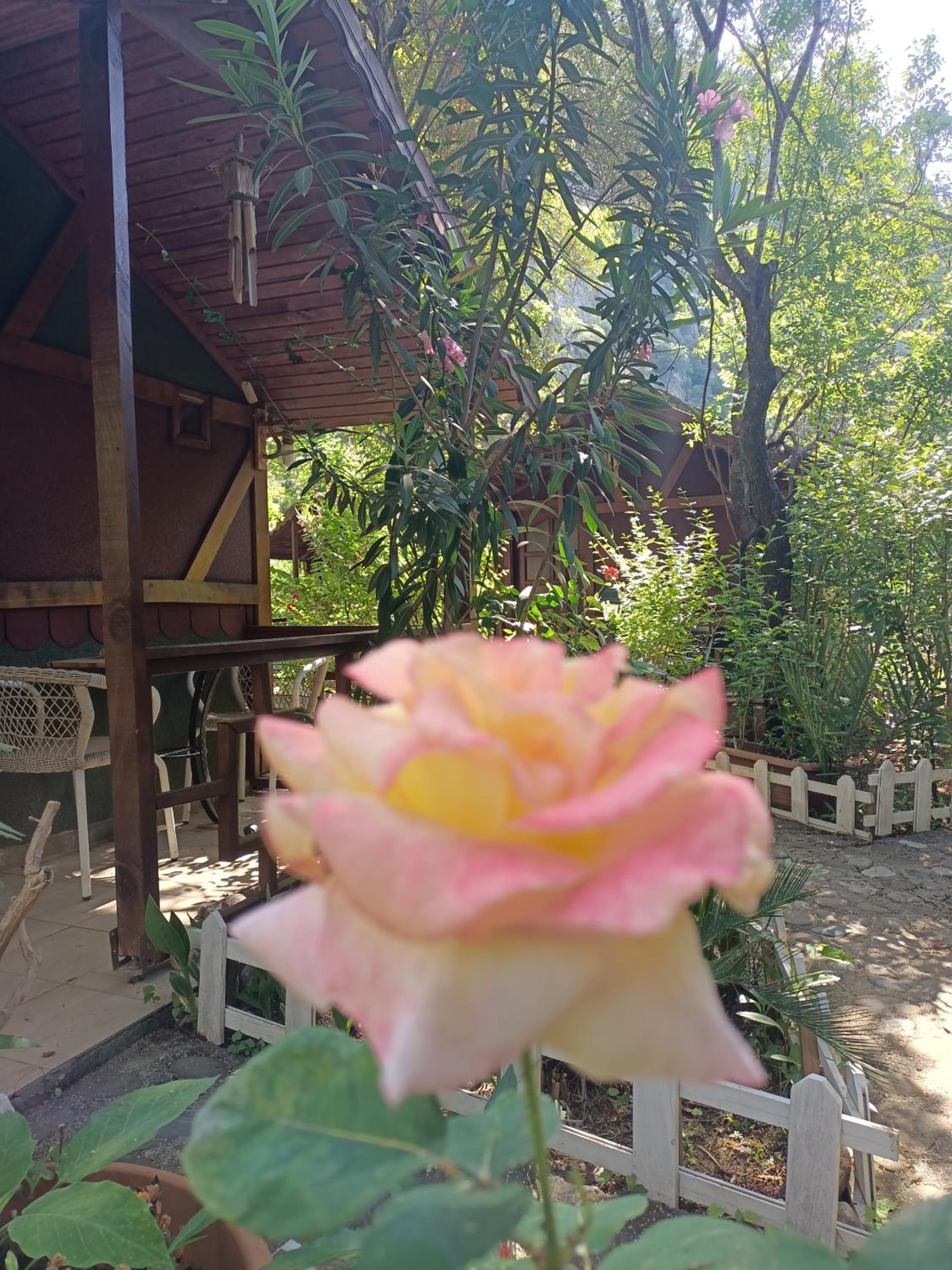 Canario Bungalows