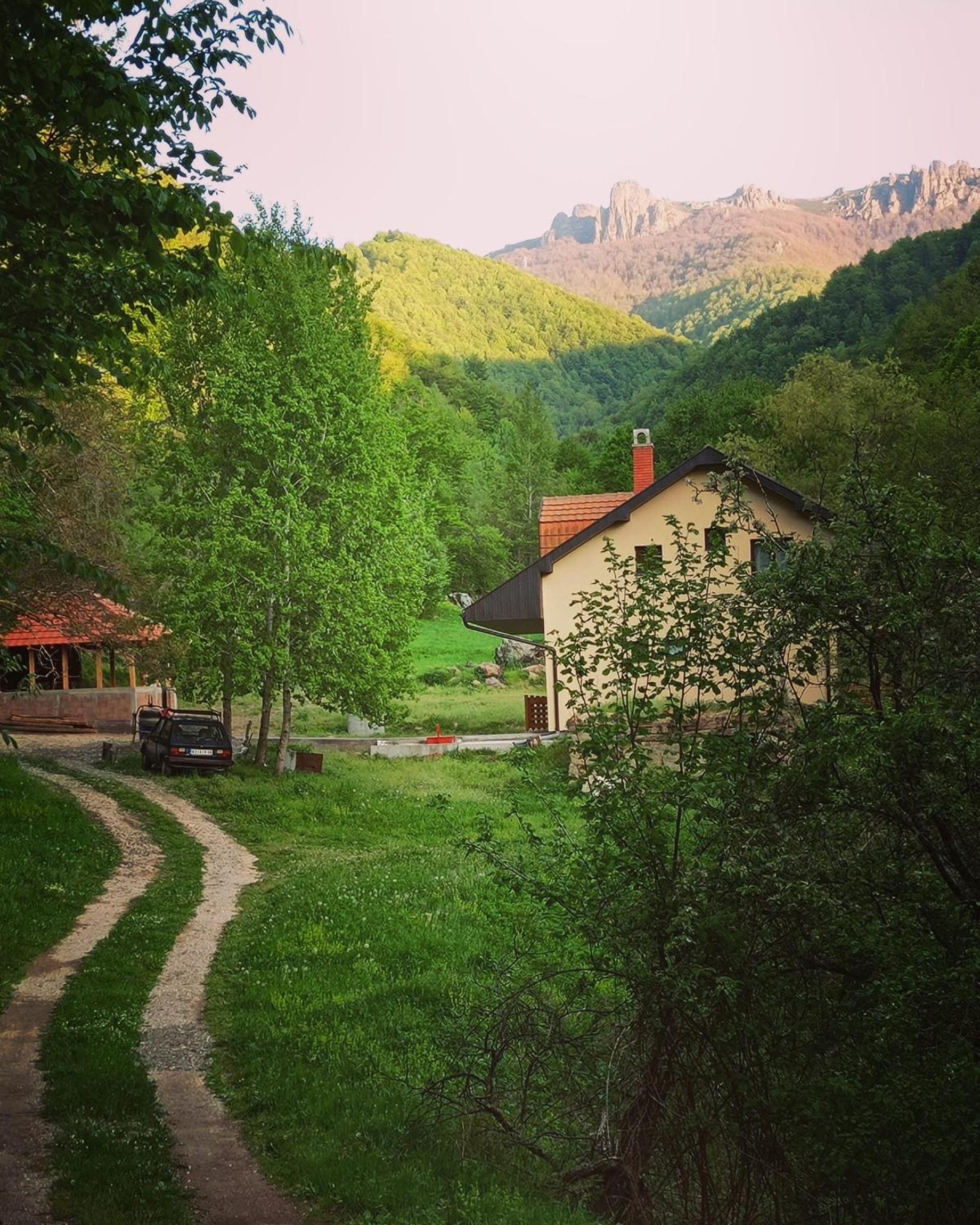 Photo 14