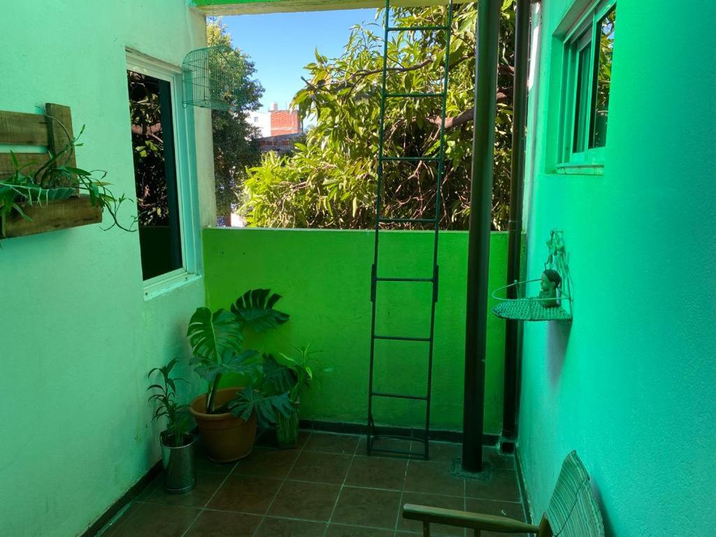 Casa Magica