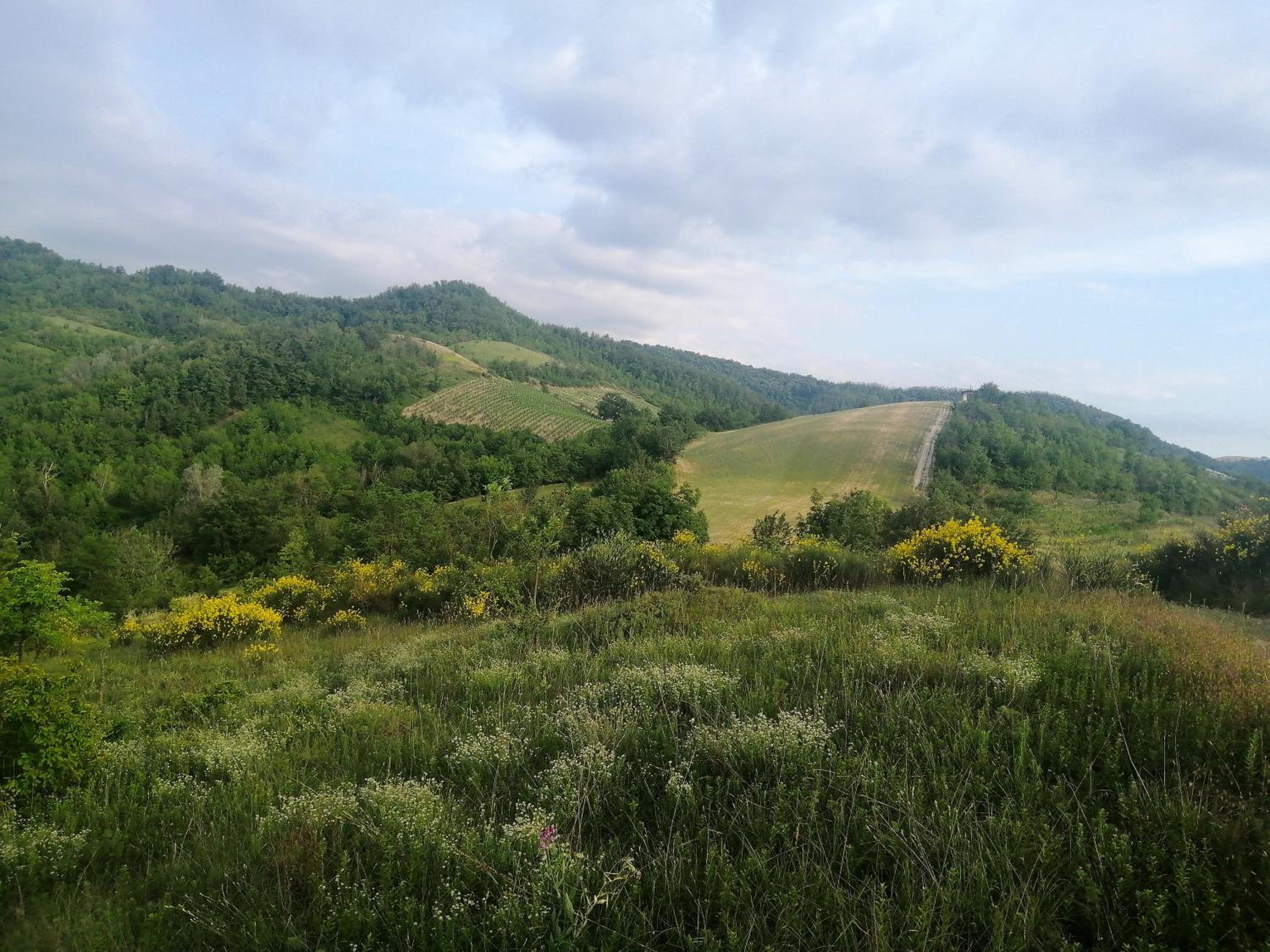 Felix House - Property Image 96