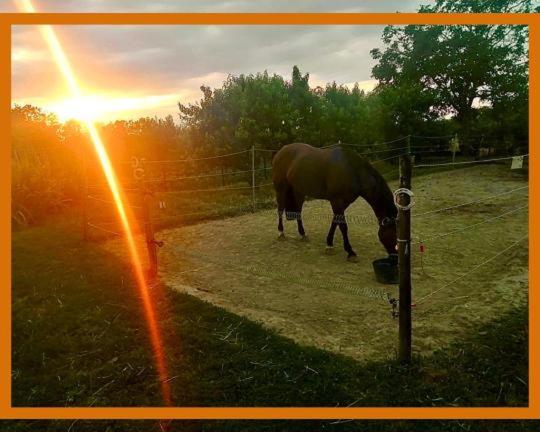 Felix House - Property Image 100