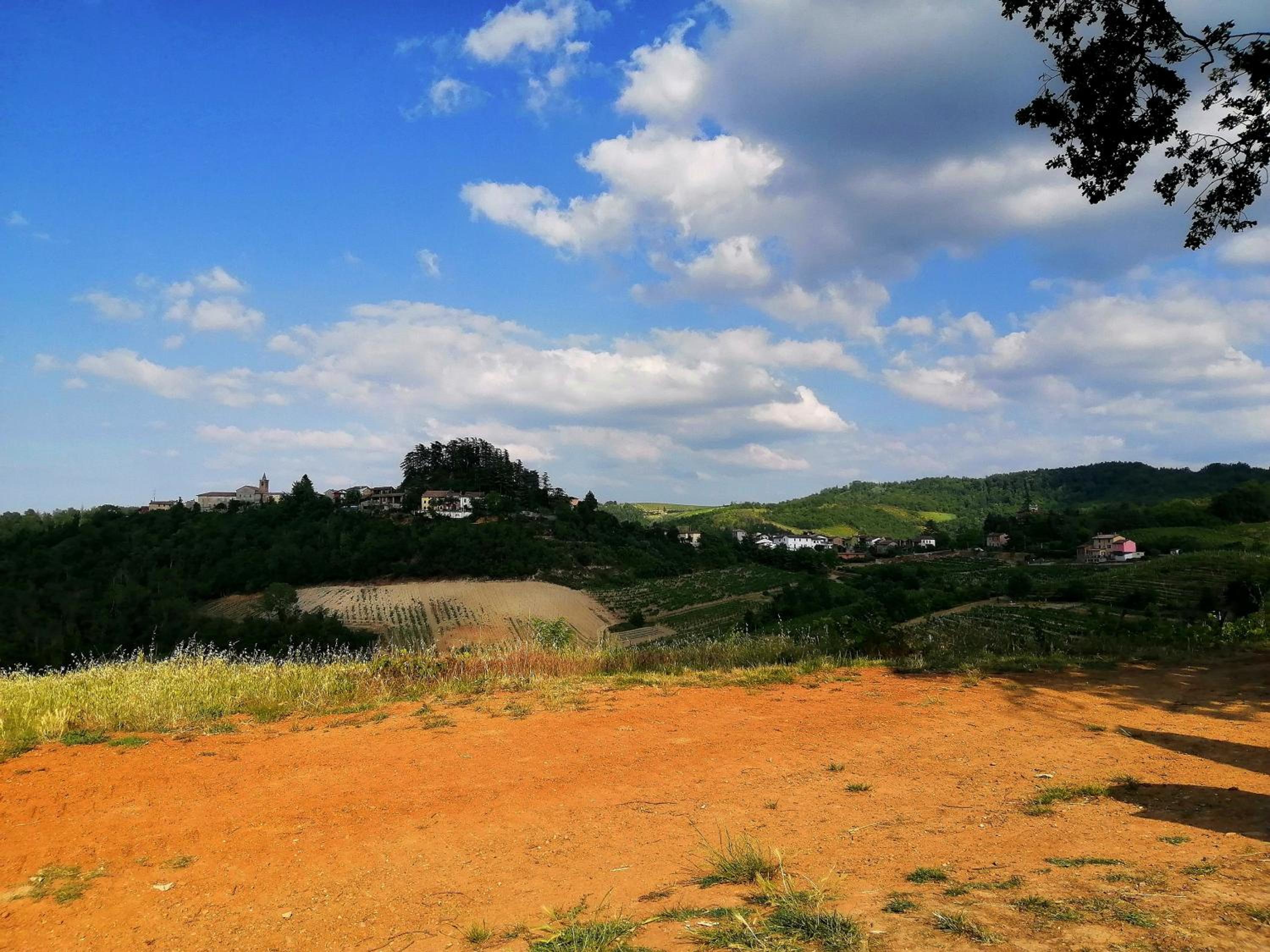 Felix House - Property Image 99