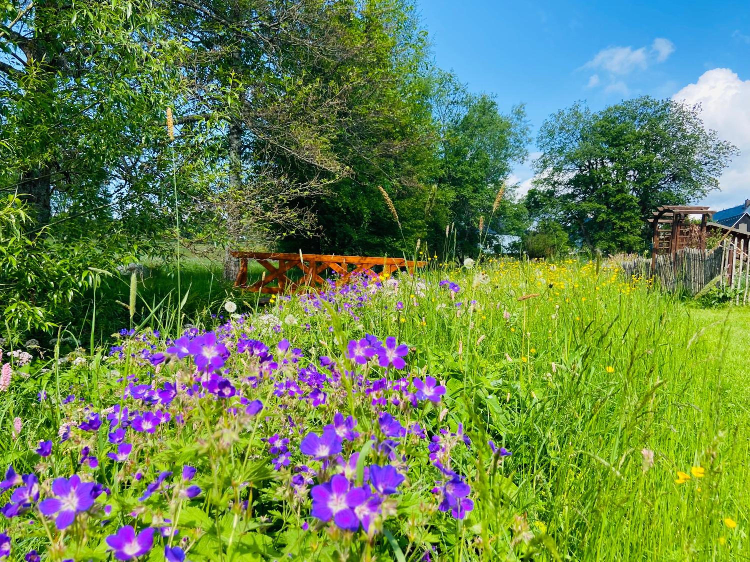 Ferienhof Alte Wildmeisterei - Fewo Gartenblick