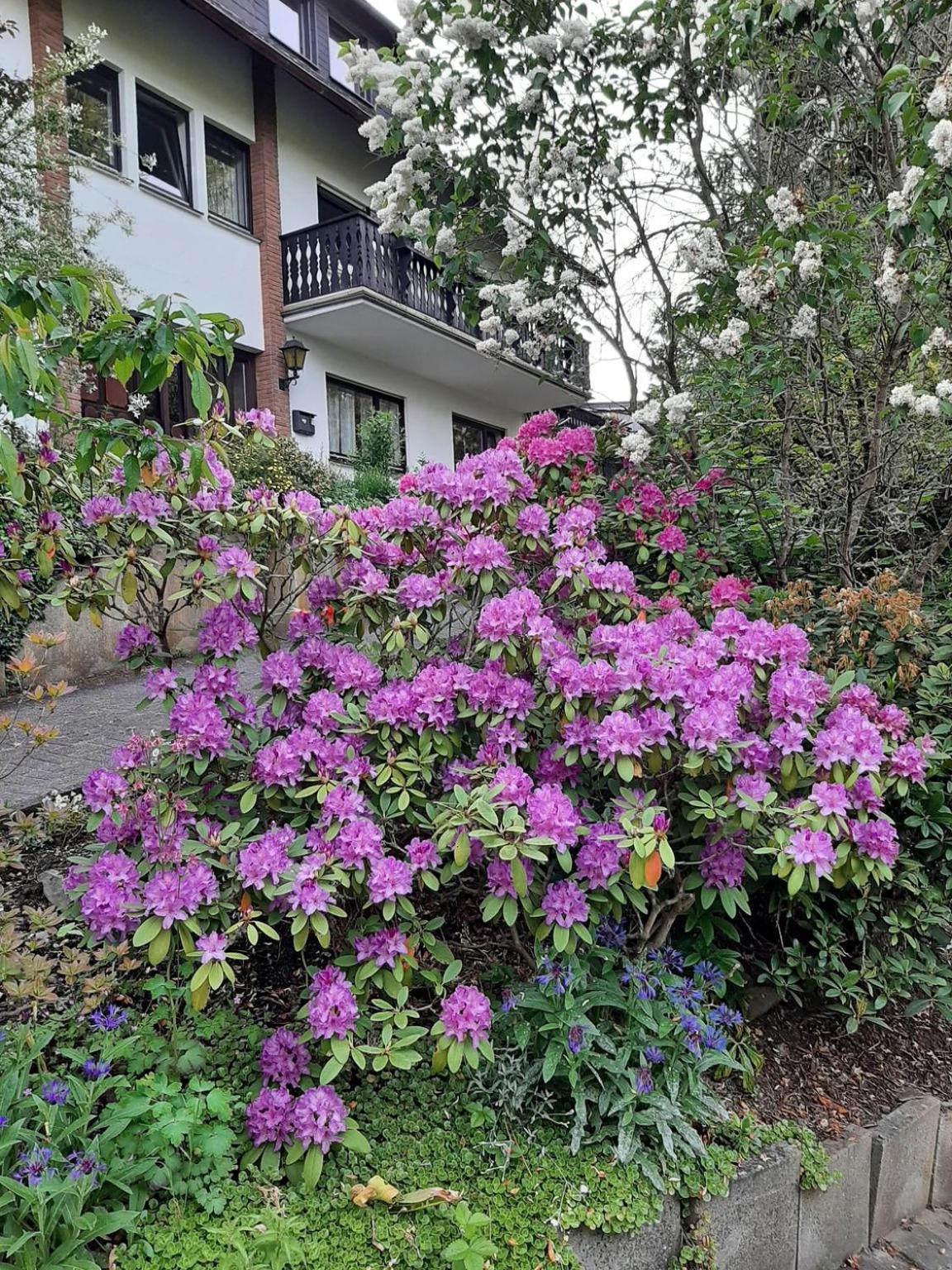 Ferienwohnung Waldblick