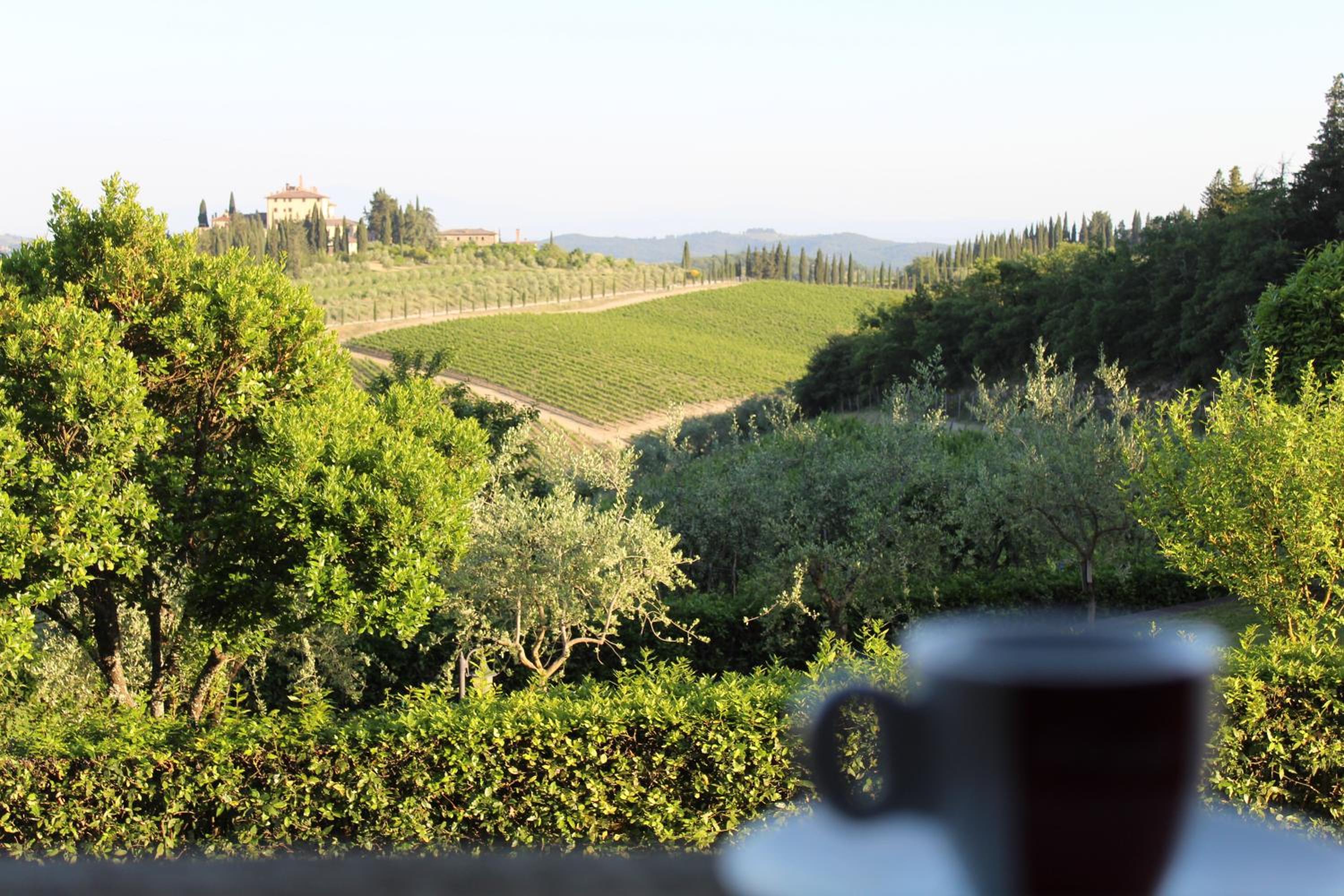 Guest House il Gatto view 5