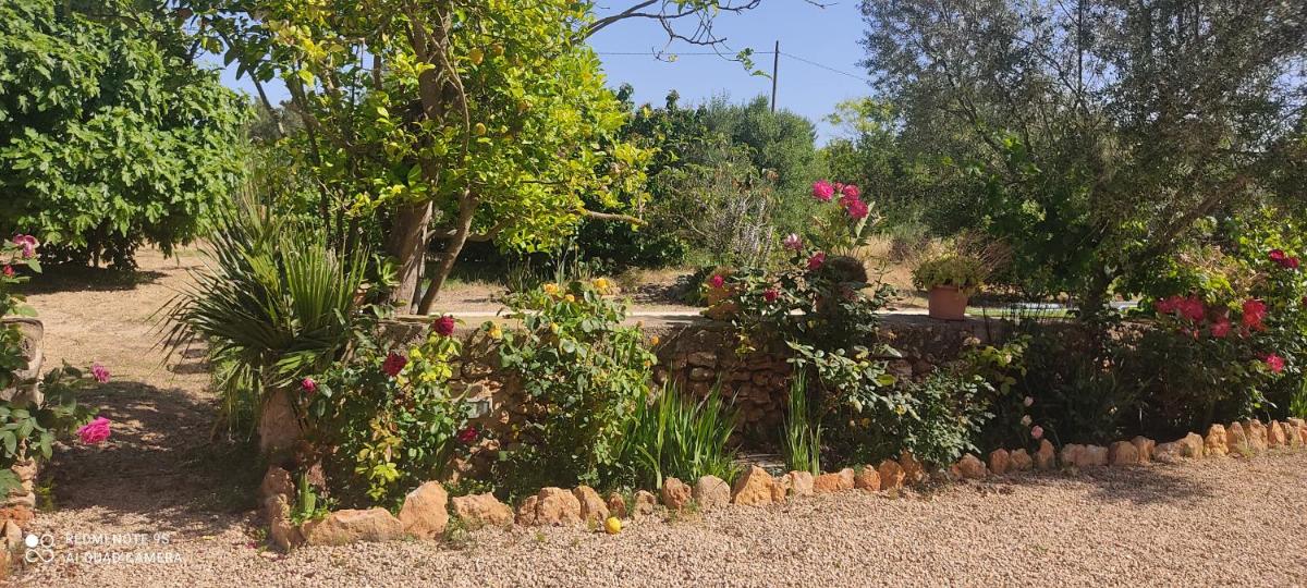 Casa Can Boletar view 5