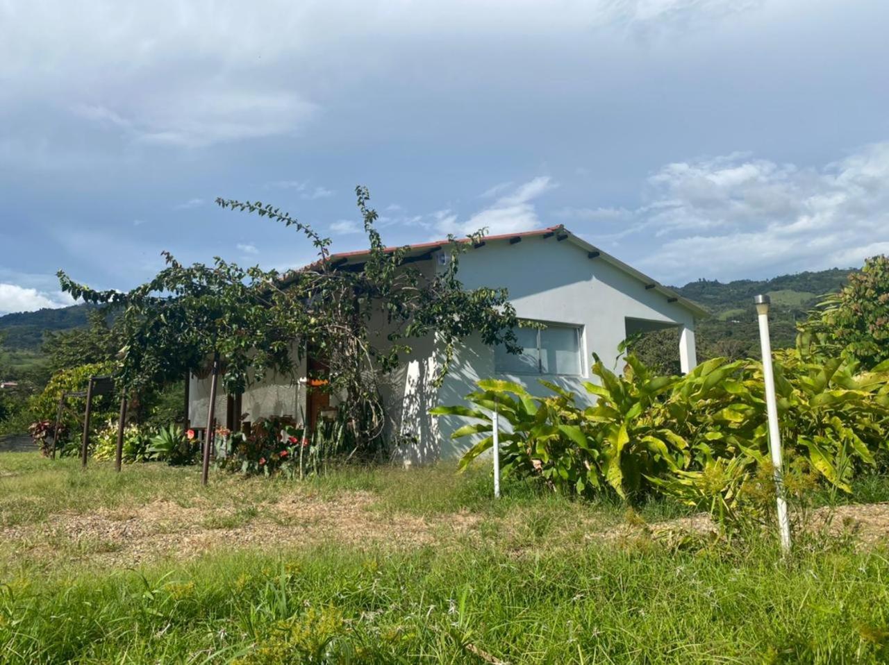 San Juan de los Guayabos