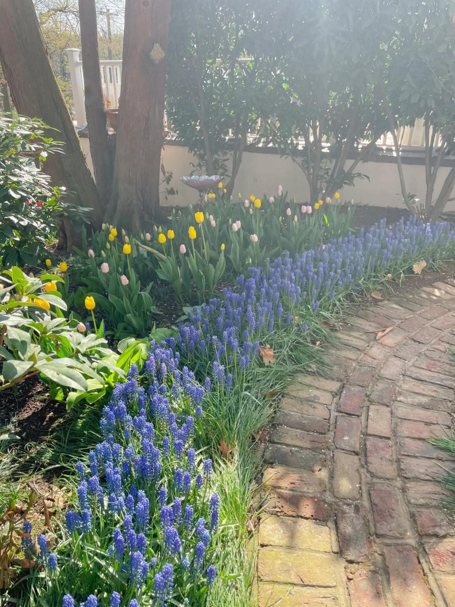 The Harbor Rose Bed & Breakfast