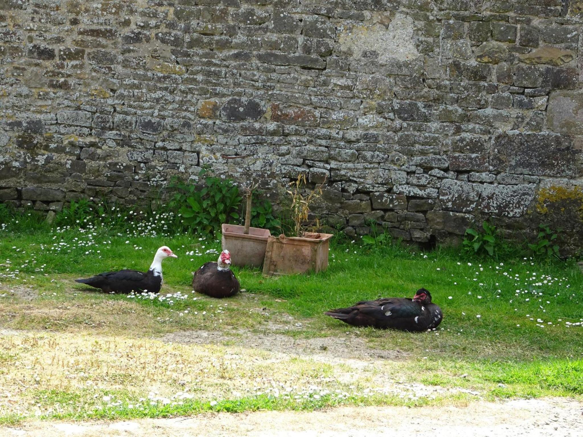 Manor in Cotentin with Historic Charm